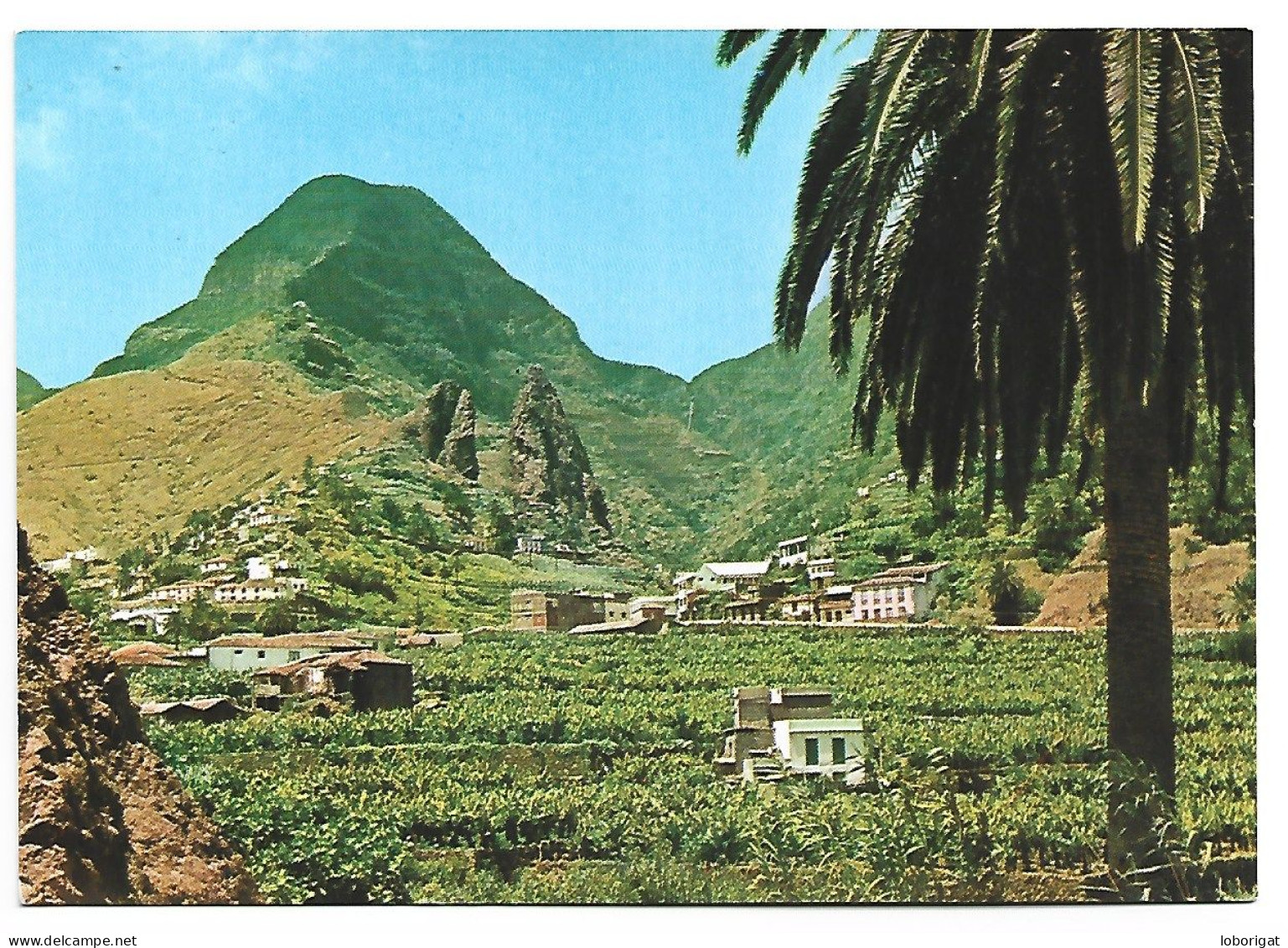 HERMIGUA.- LA GOMERA / ISLAS CANARIAS.- ( ESPAÑA ) - Gomera