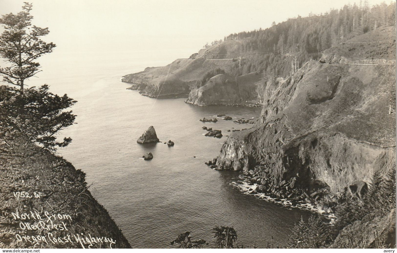 North From Otter Crest, Oregon Coast Highway, Oregon R. P. P. C. - Autres & Non Classés