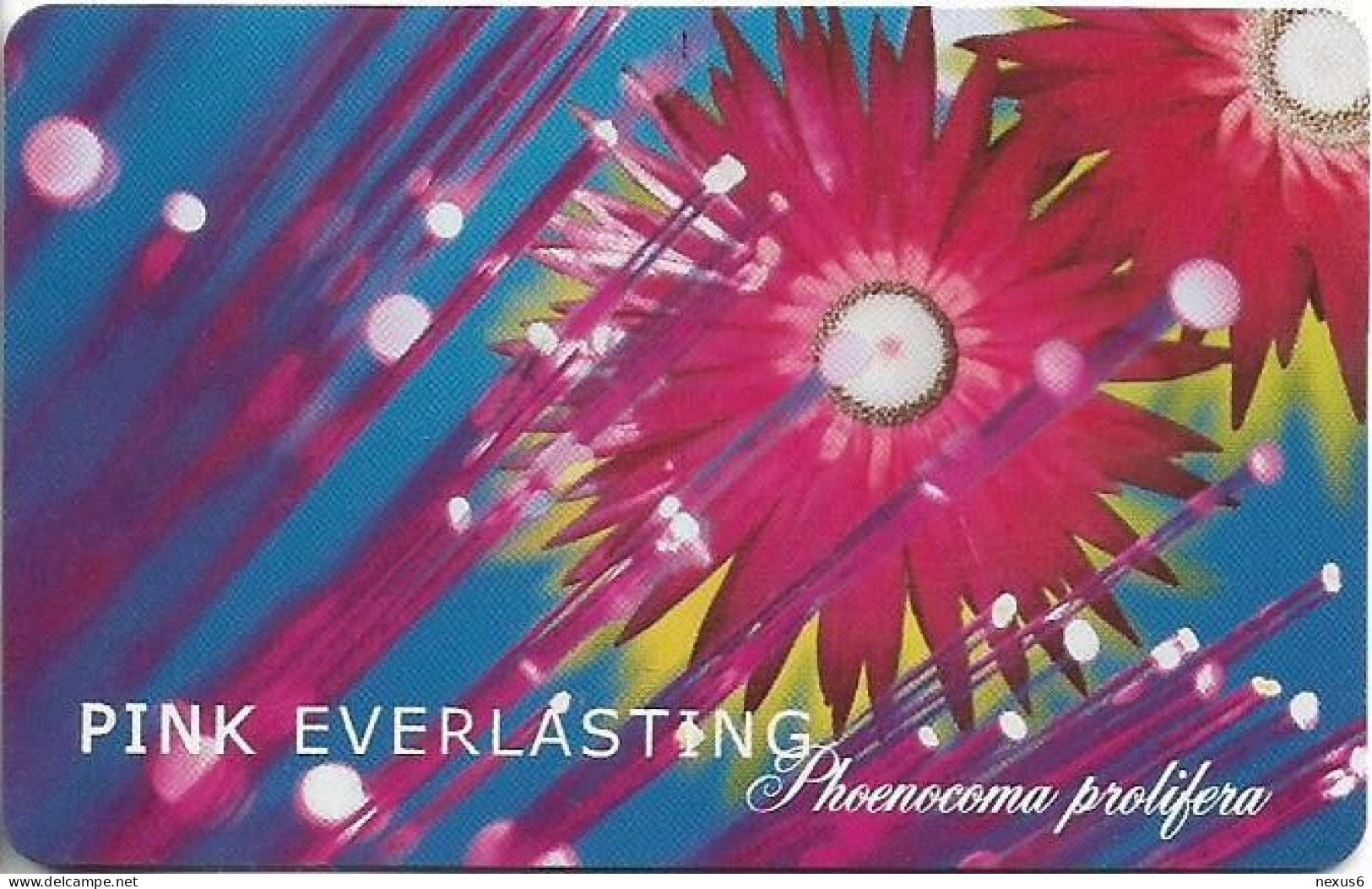 S. Africa - Telkom - Pink Everlasting (No Notch), Exp. 07.2000, Chip SO3, 100R, 30.000ex, Mint - Sudafrica