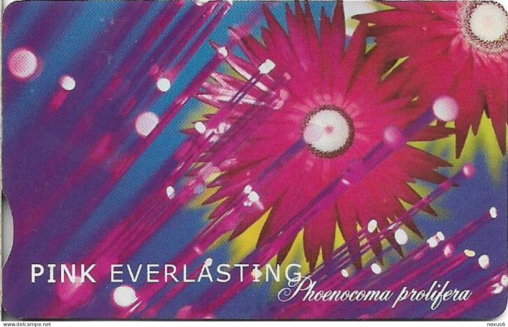 S. Africa - Telkom - Pink Everlasting (With Notch), Exp. 04.2001, Chip SO3, 100R, 20.000ex, Used - South Africa