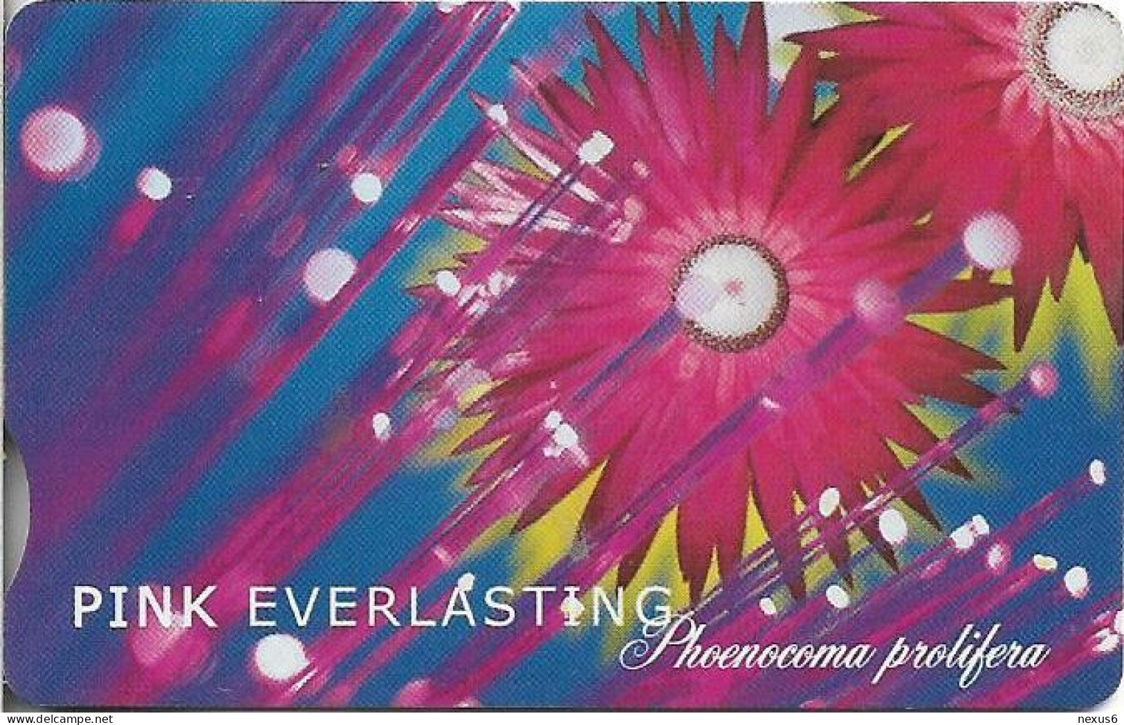 S. Africa - Telkom - Pink Everlasting (With Notch), Exp. 10.2001, Chip SO3, 100R, 20.000ex, Used - Afrique Du Sud
