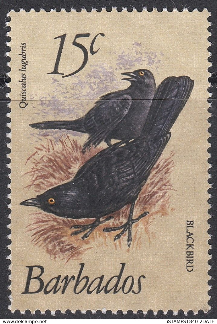 S00138/ Barbados 1979 QEII SG (627a) 15c Black Bird (Birds) MNH - Barbados (1966-...)