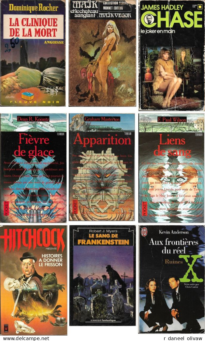 Lot 9 Livres Fantastique, Terreur, Policier (assez Bon état, Sauf Un) - Fantastic