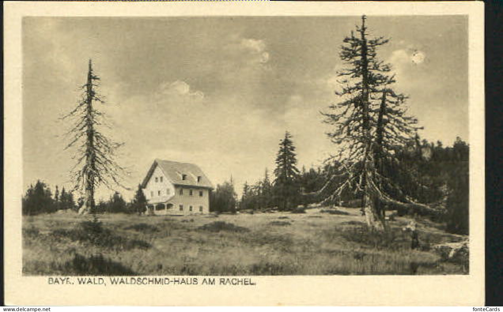 10376164 Rachel Rachel Bayr. Wald Waldschmid - Haus Ungelaufen Ca. 1920 - Autres & Non Classés