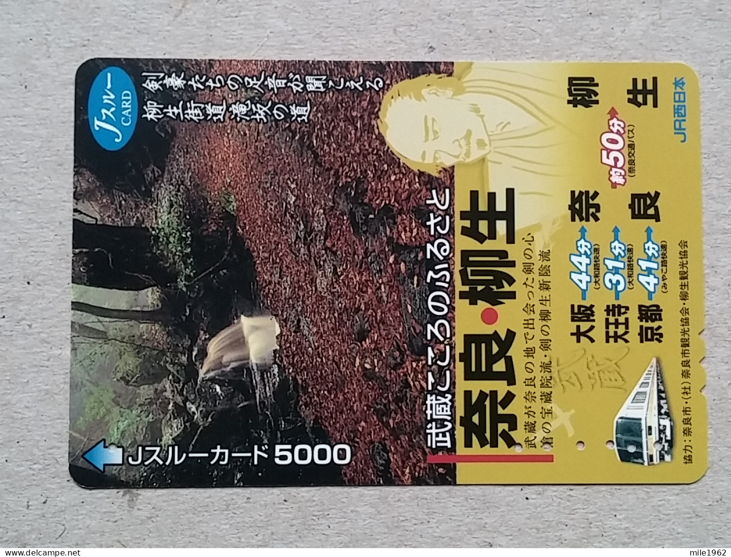 T-202- JAPAN, Japon, Nipon, Carte Prepayee, Prepaid Card, RAILWAY, TRAIN, CHEMIN DE FER - Trenes