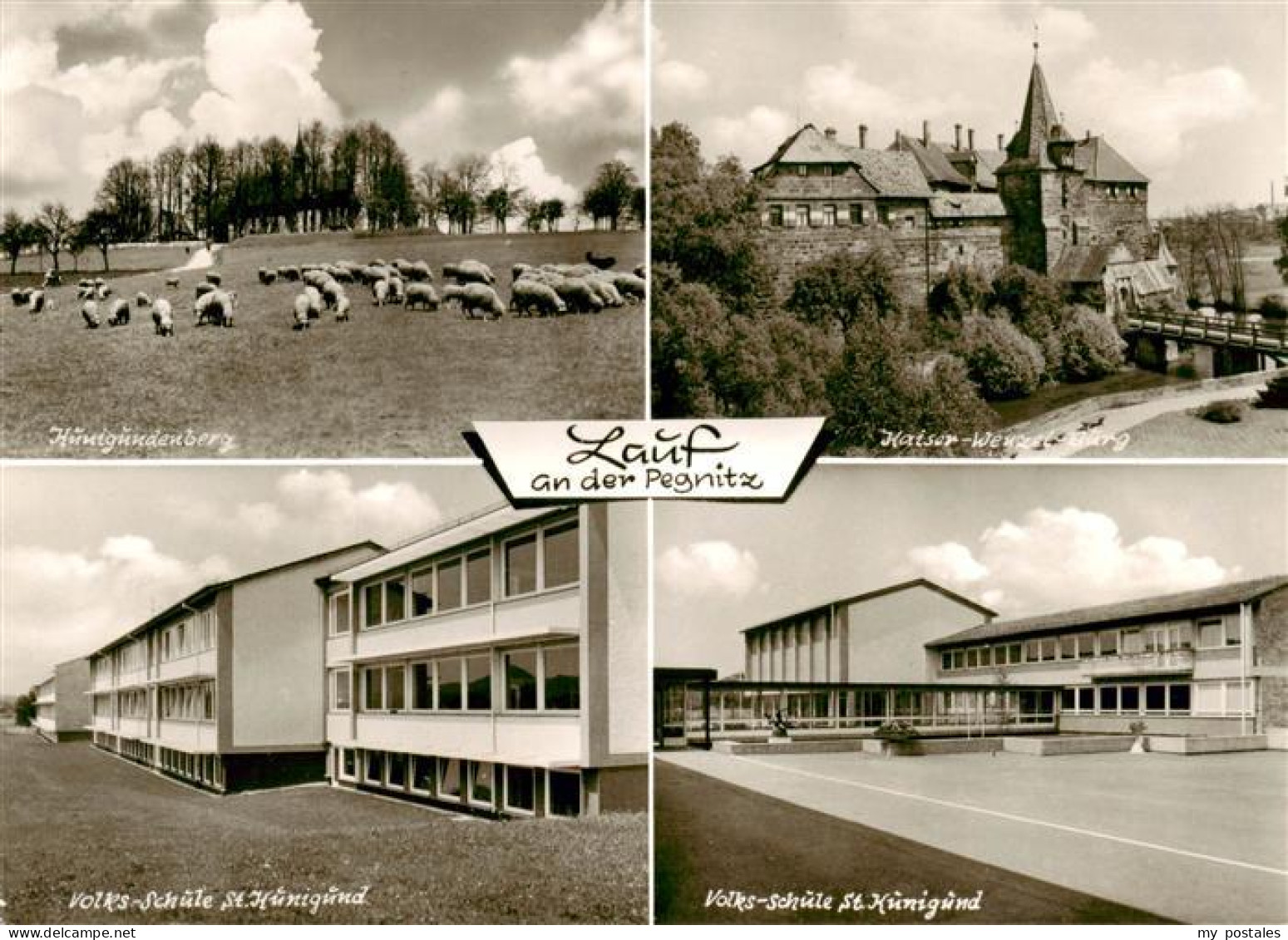 73871721 Lauf Pegnitz Kunigundenberg Schafherde Kaiser-Wenzel-Burg Volksschule S - Lauf