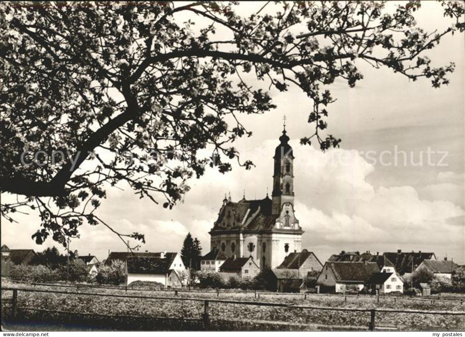 72083892 Schussenried Bad Wallfahrtskirche Steinhausen Schussenried Bad - Bad Schussenried