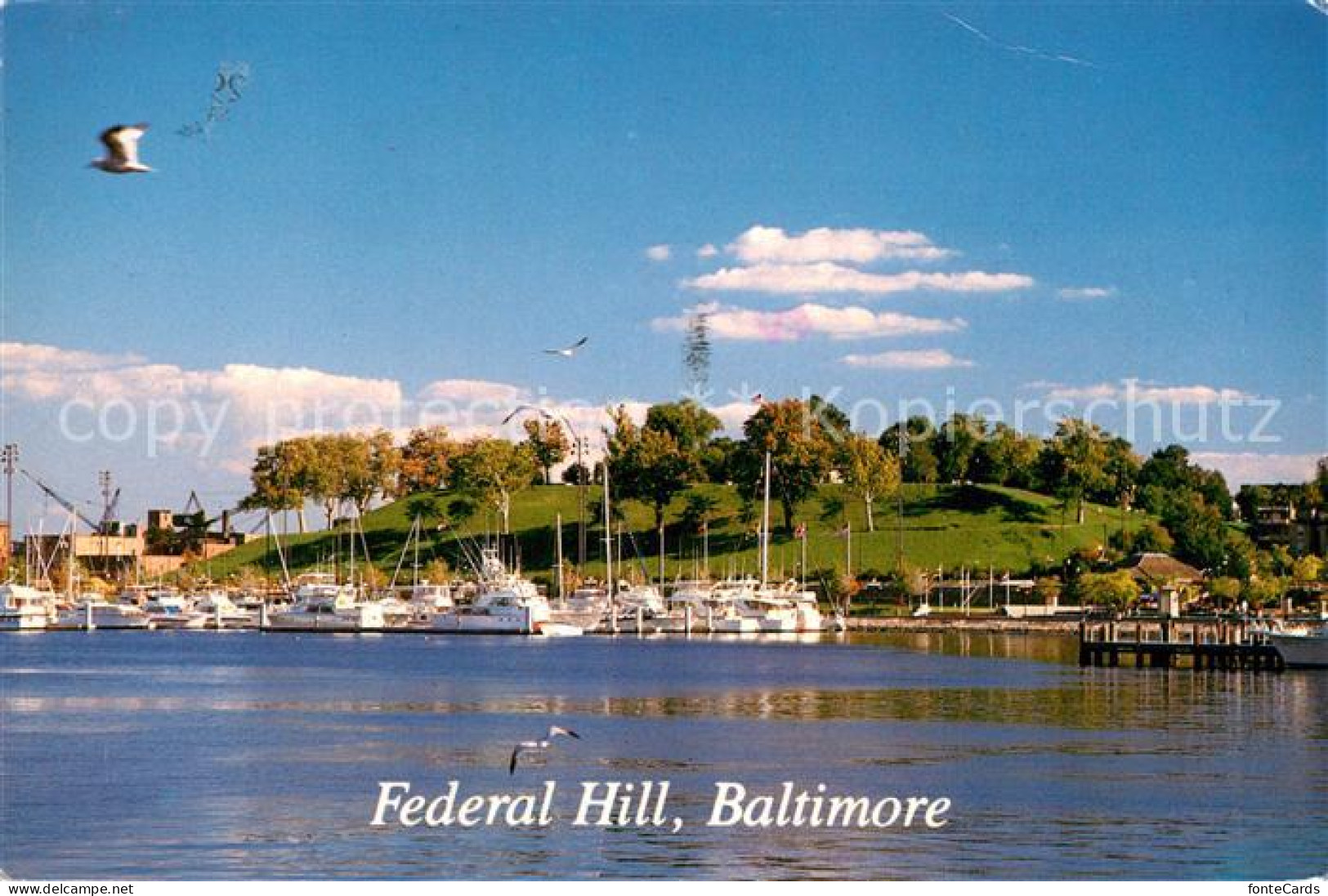 72929592 Baltimore_Maryland Federal Hill - Andere & Zonder Classificatie