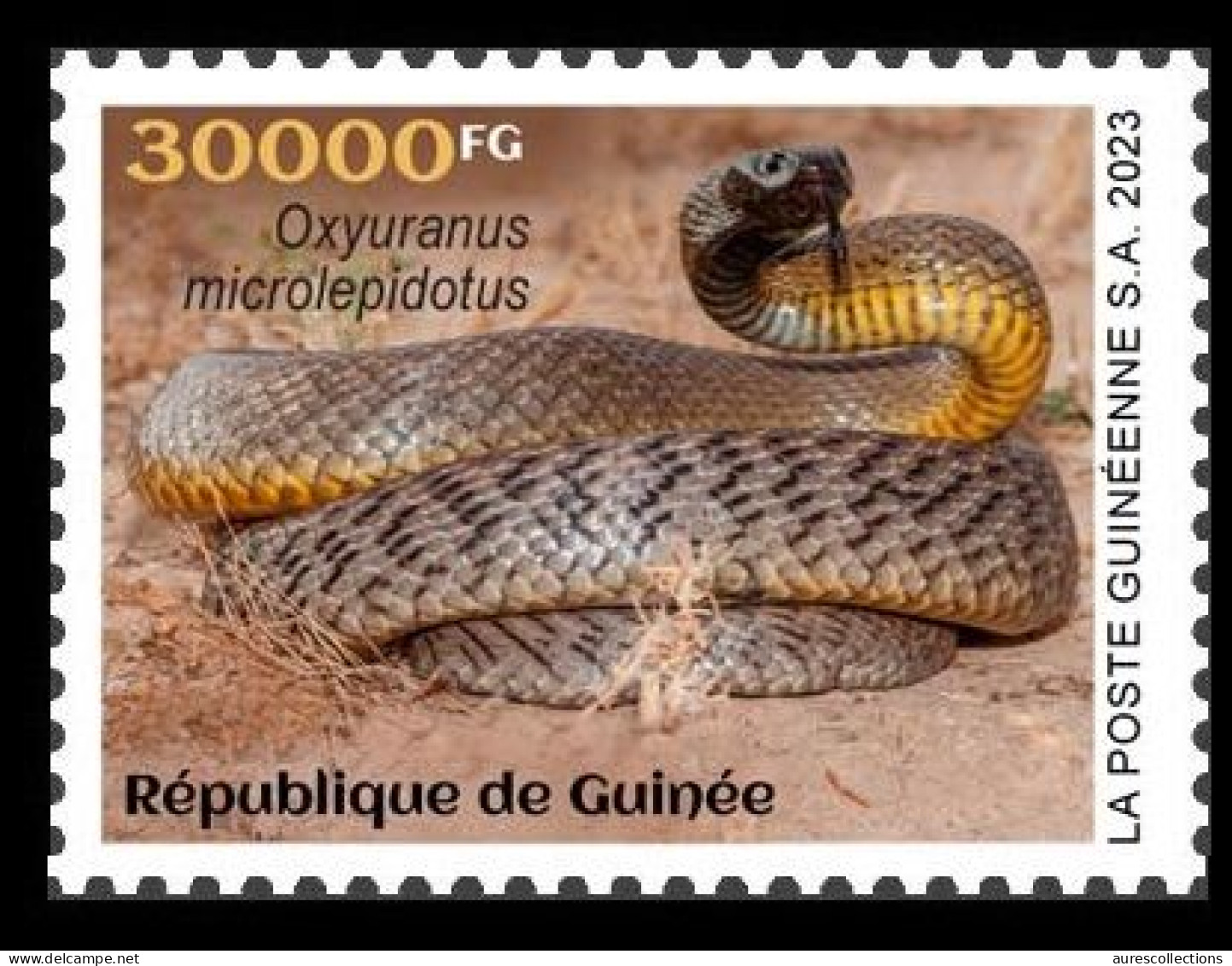 GUINEA 2023 - STAMP 1V - TOXIC SPECIES - SNAKES SNAKE SERPENTS SERPENT - MNH - Serpents