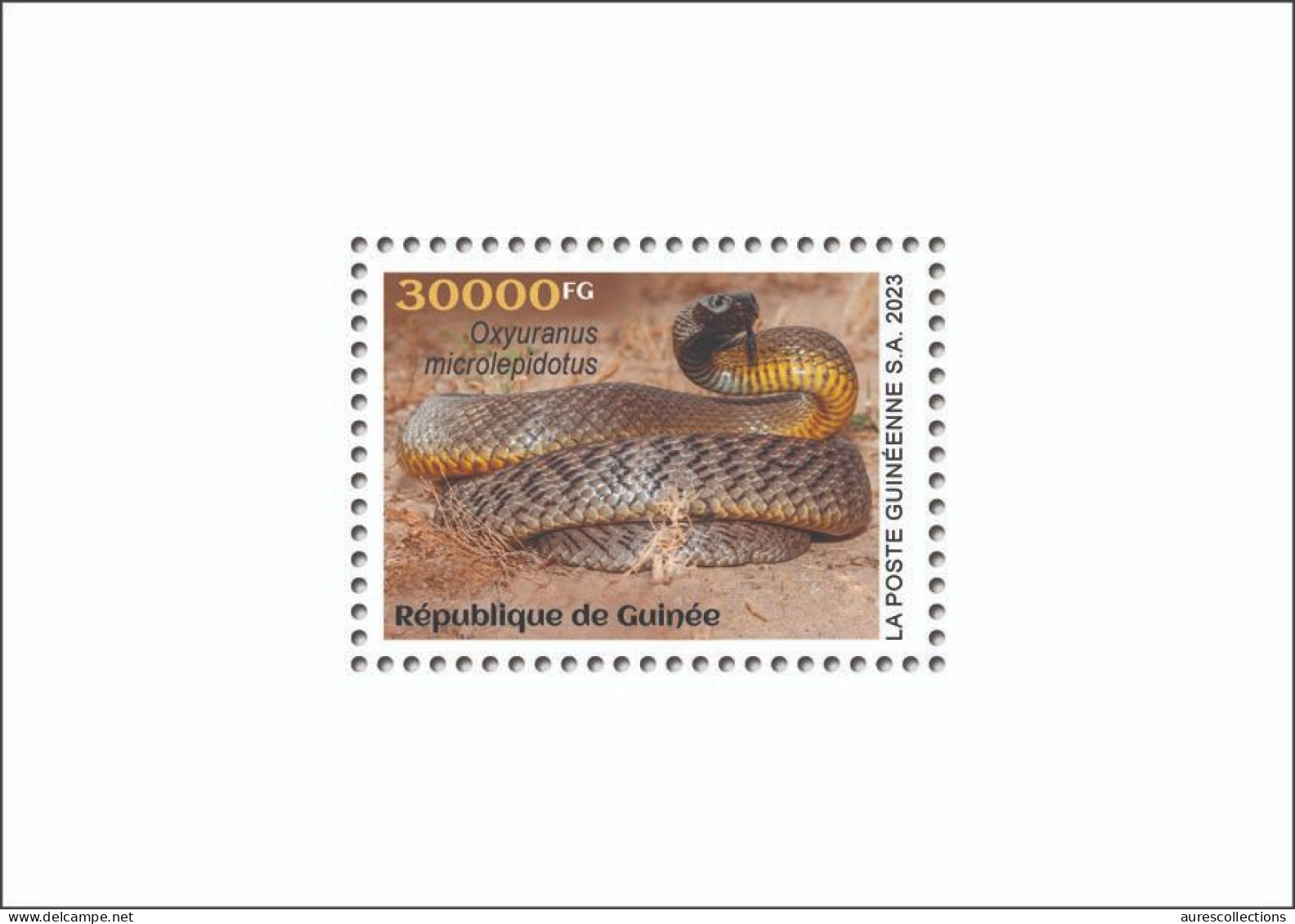 GUINEA 2023 - SHEET 1V - TOXIC SPECIES - SNAKES SNAKE SERPENTS SERPENT - LUXE MNH - Snakes