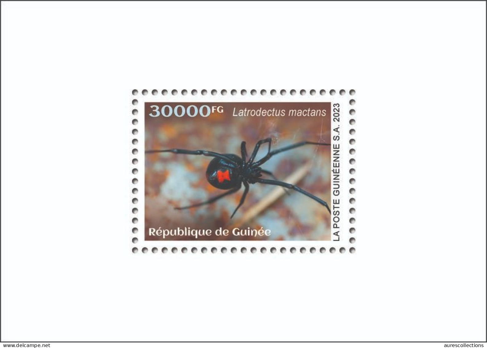 GUINEA 2023 - SHEET 1V - TOXIC SPECIES - SPIDERS SPIDER BLACK WIDOW - LUXE MNH - Arañas