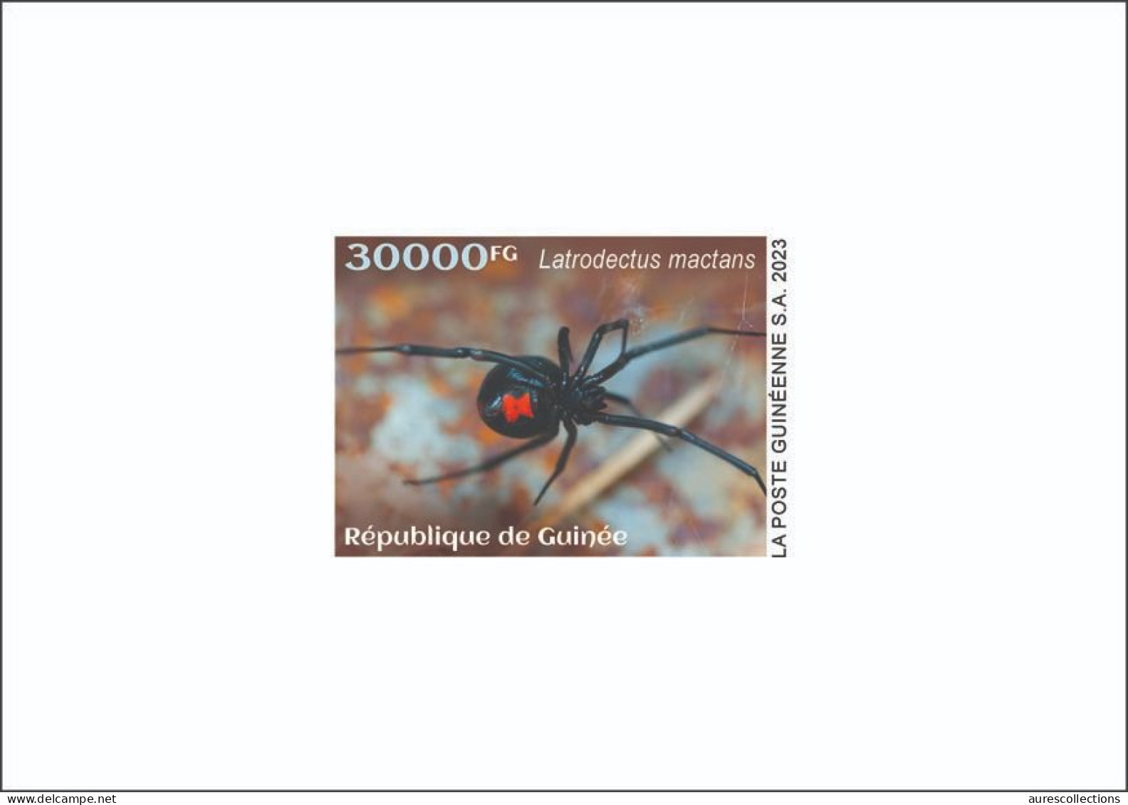 GUINEA 2023 - DELUXE PROOF - TOXIC SPECIES - SPIDERS SPIDER BLACK WIDOW - Ragni