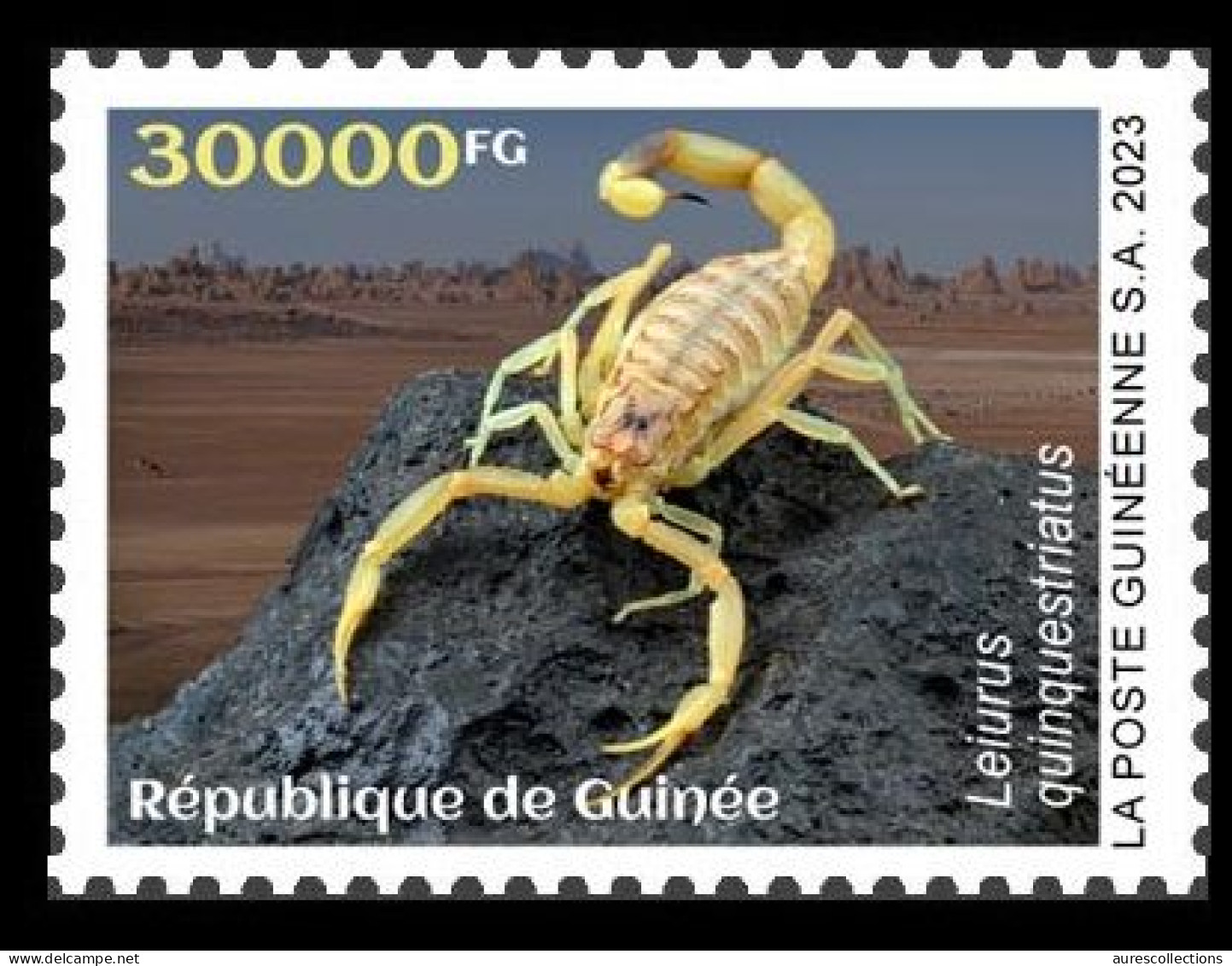 GUINEA 2023 - STAMP 1V - TOXIC SPECIES - SPIDERS SPIDER SCORPIONS SCORPION - MNH - Ragni