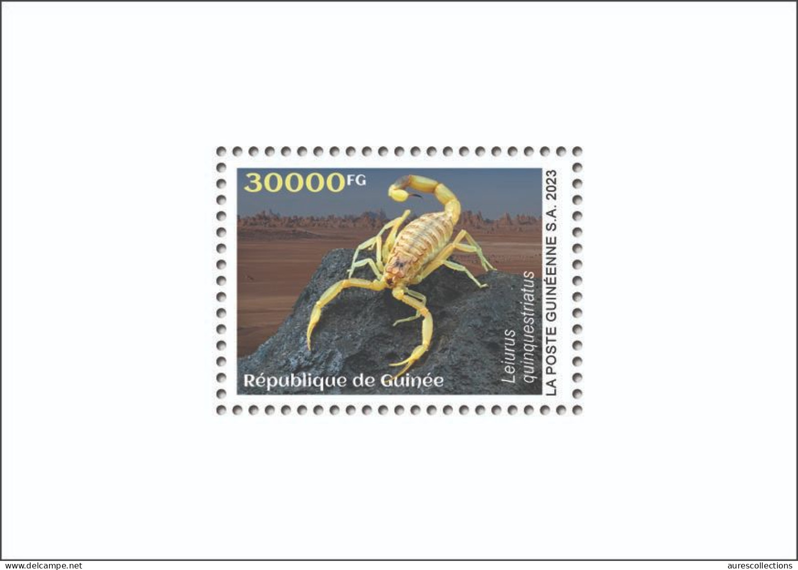 GUINEA 2023 - SHEET 1V - TOXIC SPECIES - SPIDERS SPIDER SCORPIONS SCORPION - LUXE MNH - Spinnen