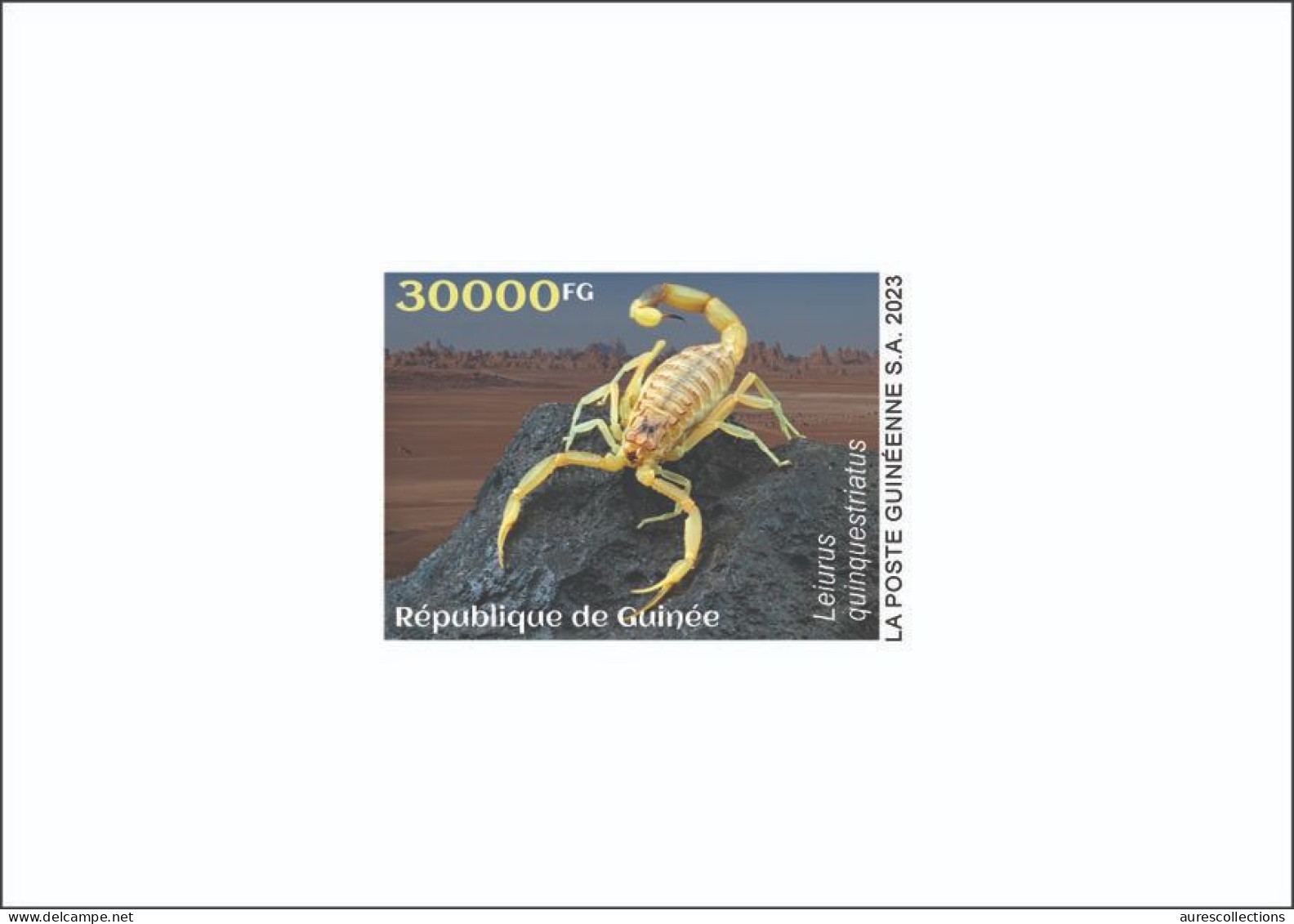 GUINEA 2023 - DELUXE PROOF - TOXIC SPECIES - SPIDERS SPIDER SCORPIONS SCORPION - Spinnen