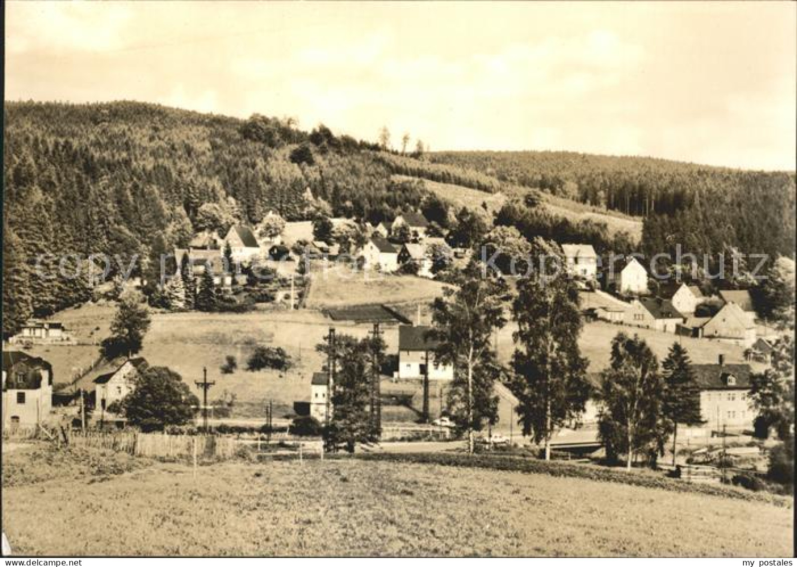 72046642 Schmalzgrube Panorama Schmalzgrube - Jöhstadt