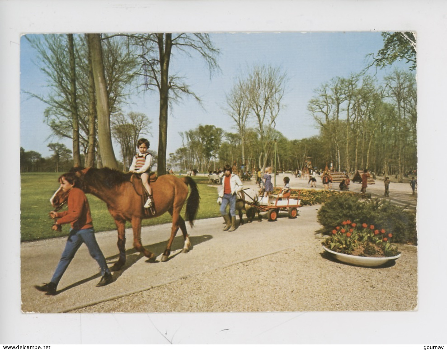 Le Havre : Forêt De Montgeon, Le Parc De Jeux Des Enfants, Promenades à Cheval Poney Carriole (n°42 Bellevues) - Forêt De Montgeon