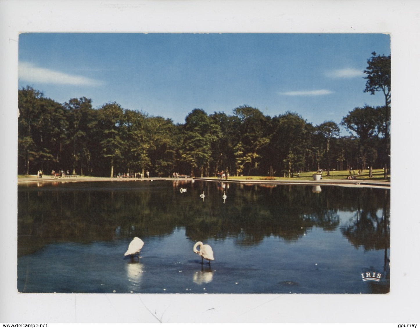 Le Havre : Forêt De Montgeon, Le Lac & Les Cygnes (animée N°1745 Cap) - Forêt De Montgeon