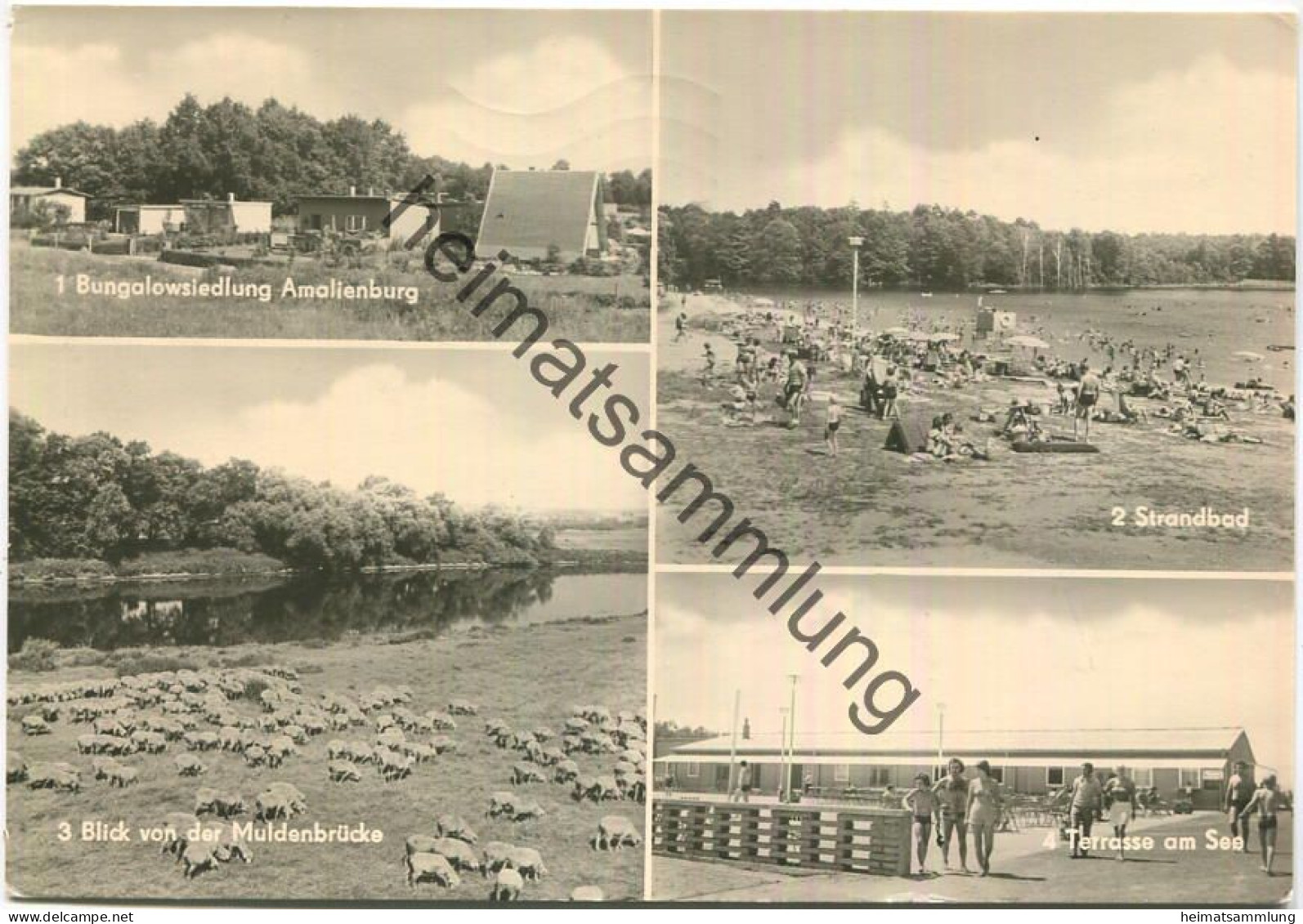 Grimma - Naherholungsgebiet Thümmlitzsee - Amalienburg - Muldenbrücke - Terrasse Am See - Foto-AK Grossformat Gel. 1979 - Grimma