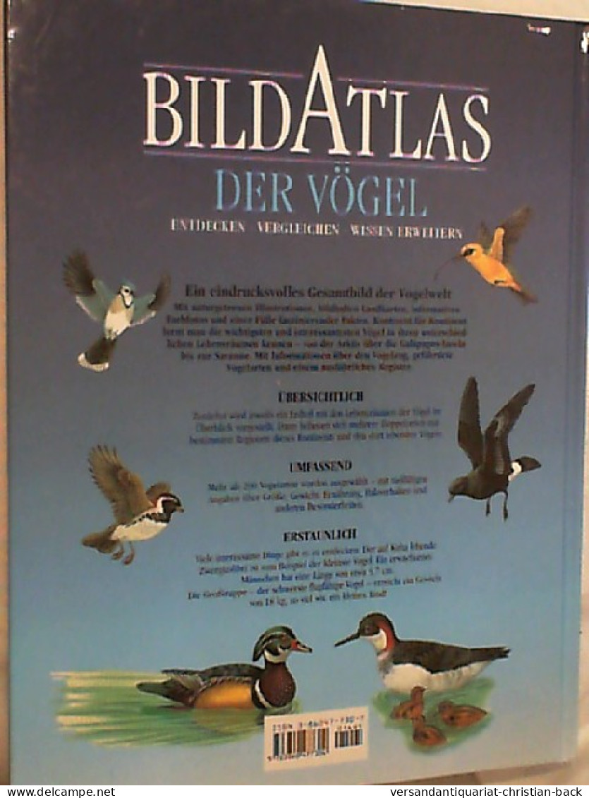 Bildatlas Der Vögel : Entdecken, Vergleichen, Wissen Erweitern. - Animals