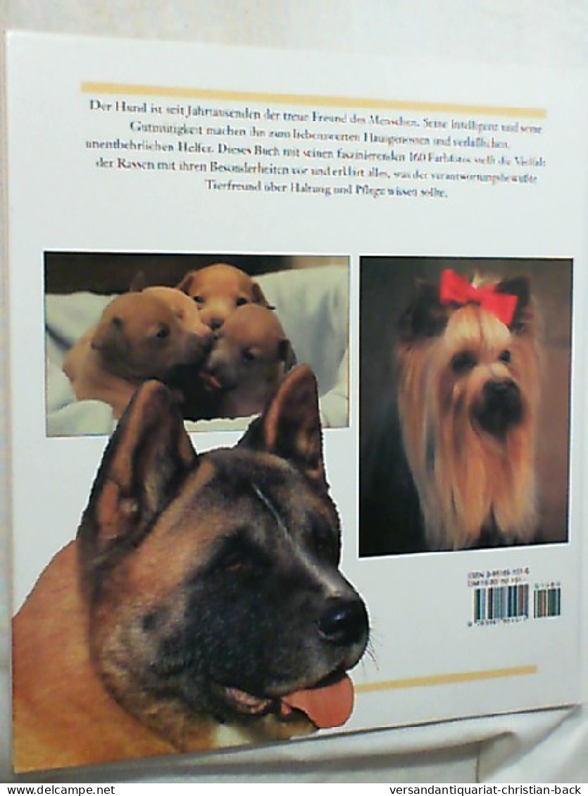 Das Illustrierte Buch Der Hunde. - Animals