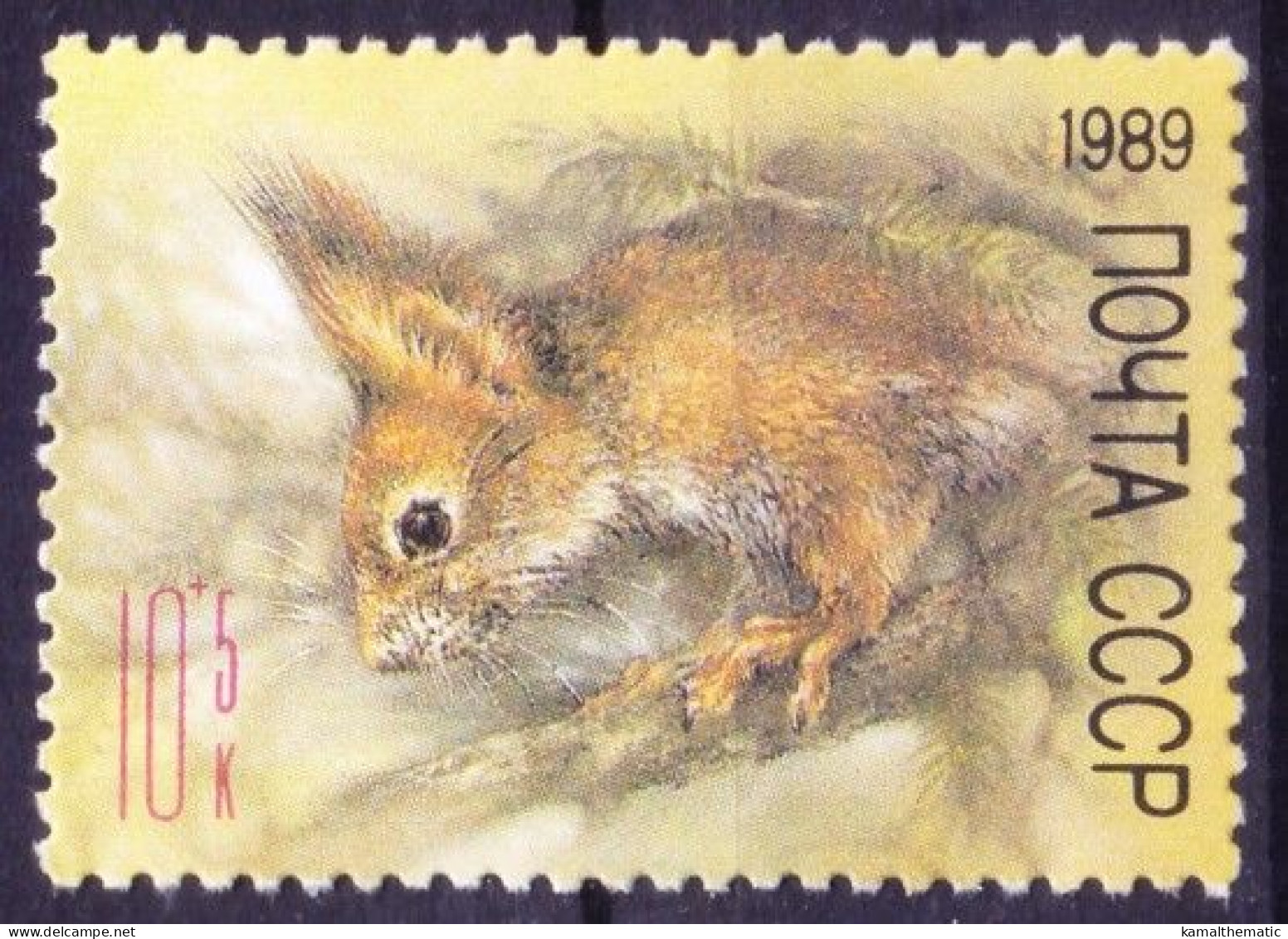 Soviet Union 1989 Mint No Gum, Eurasian Red Squirrel, Zoo Relief Fund, Rodents - Rodents
