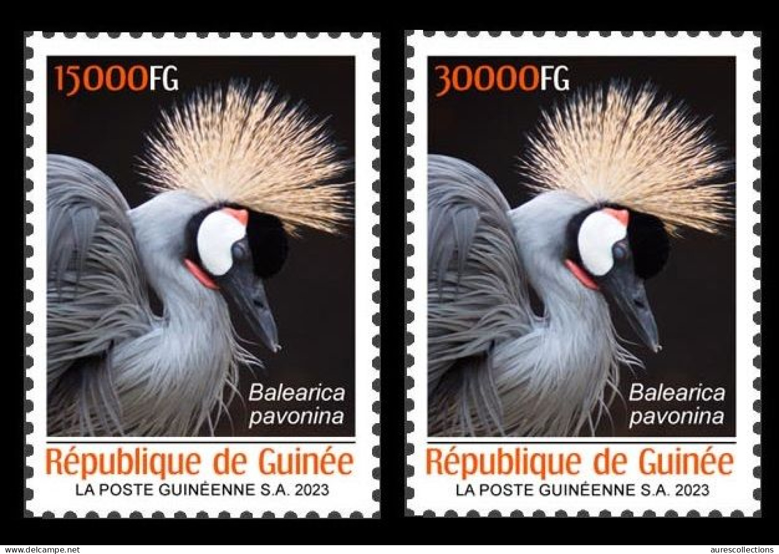 GUINEA 2023 SET 2V - BIRDS OISEAUX - BLACK CROWN CRANE CRANES - MNH - Kranichvögel