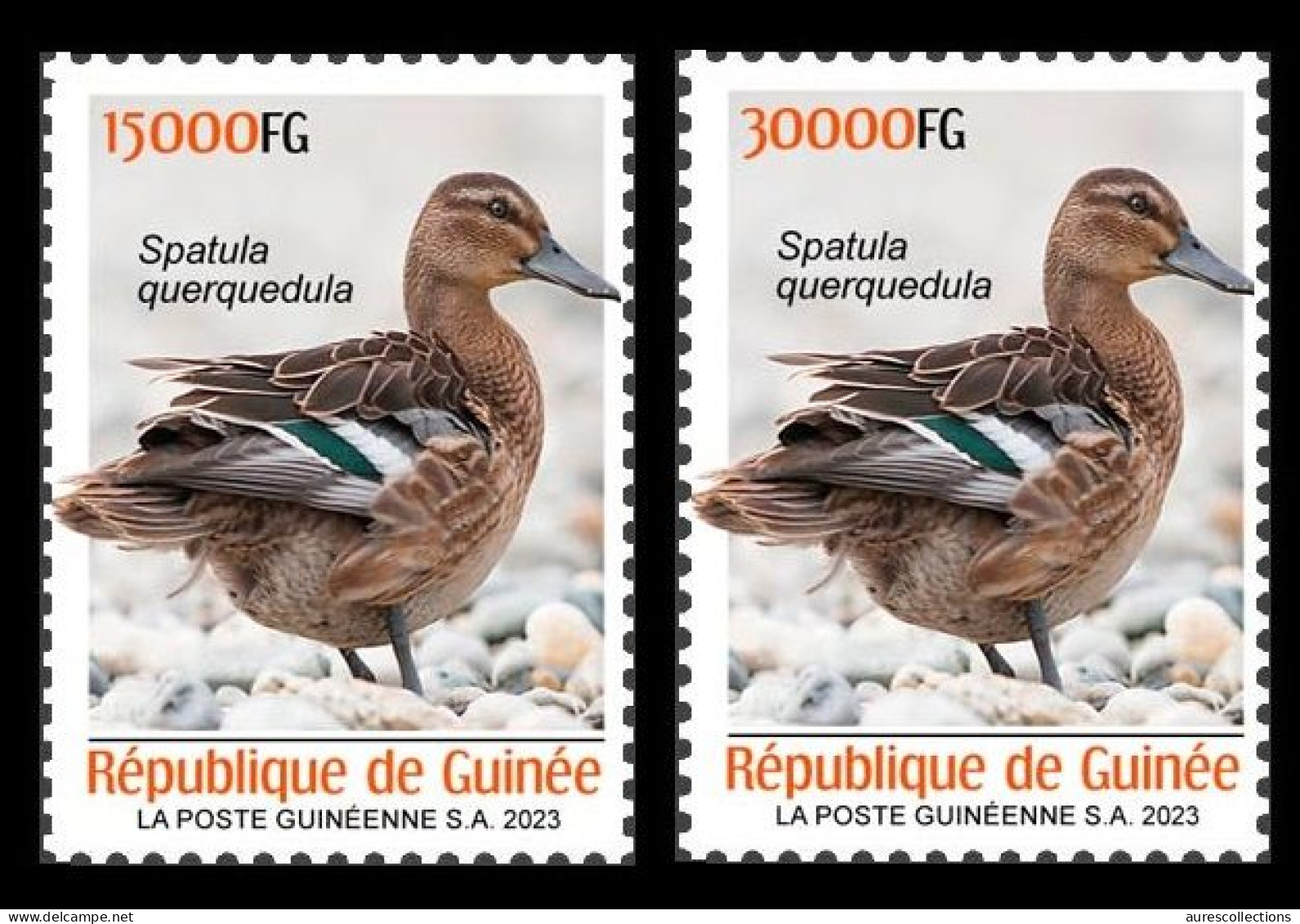 GUINEA 2023 SET 2V - BIRDS OISEAUX - DUCK DUCKS CANARD CANARDS - MNH - Anatre