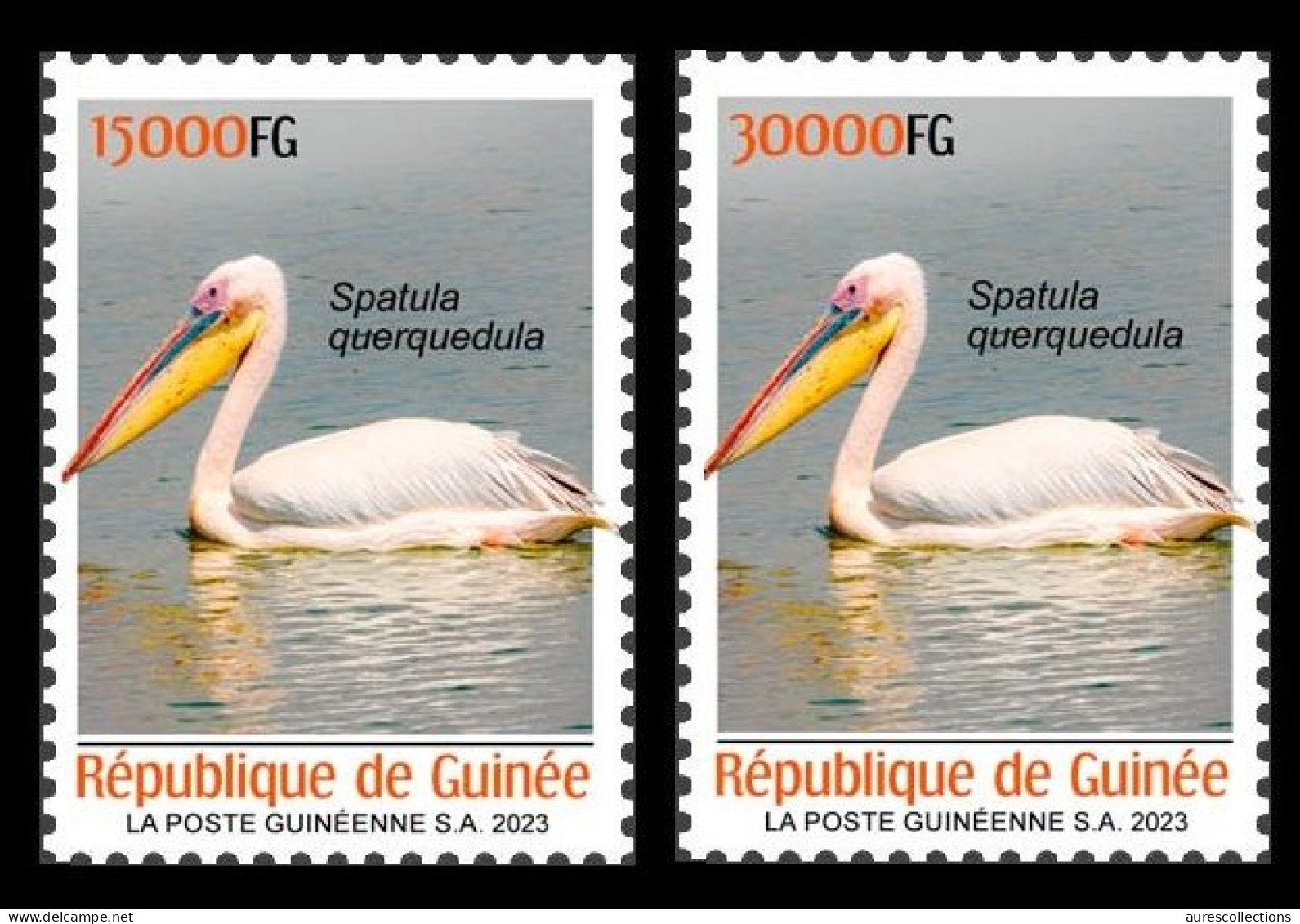 GUINEA 2023 SET 2V - BIRDS OISEAUX - PELICAN PELICANS - MNH - Pélicans