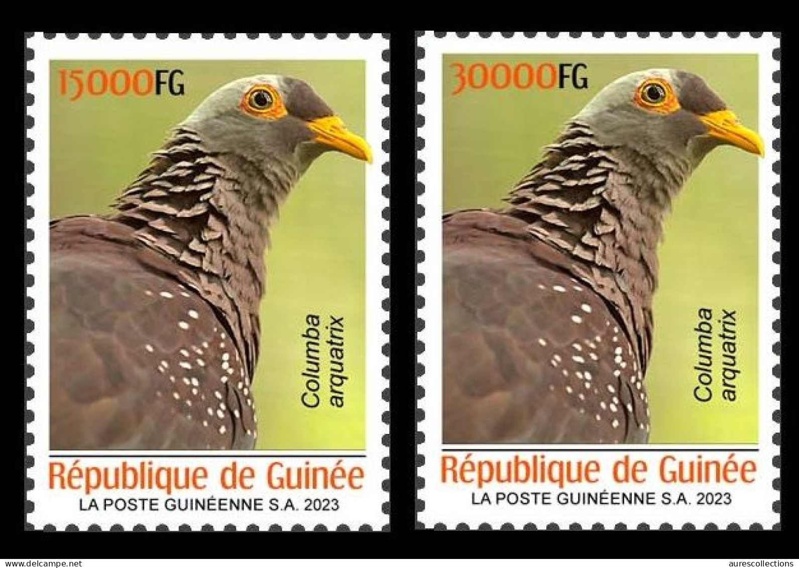 GUINEA 2023 SET 2V - BIRDS OISEAUX - DOVES DOVE PIGEON PIGEONS - MNH - Tauben & Flughühner