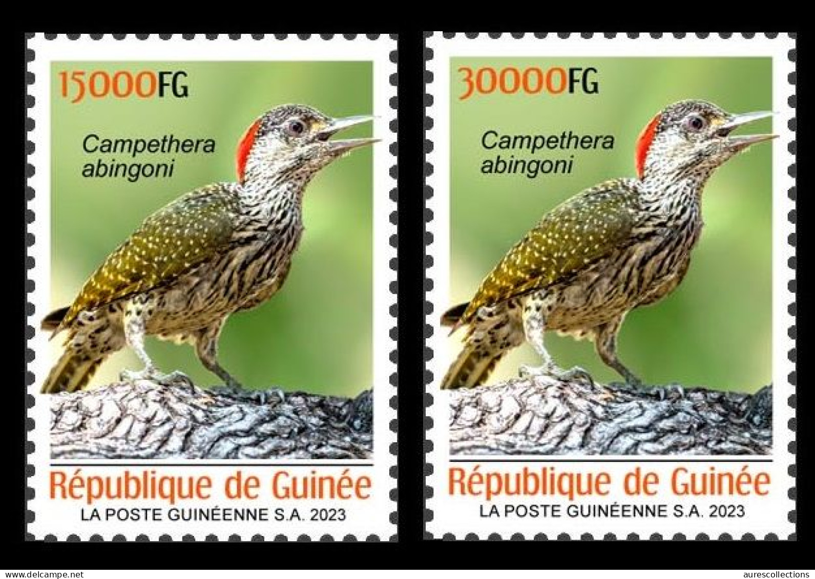 GUINEA 2023 SET 2V - BIRDS OISEAUX - WOODPECKER PIC - MNH - Pics & Grimpeurs