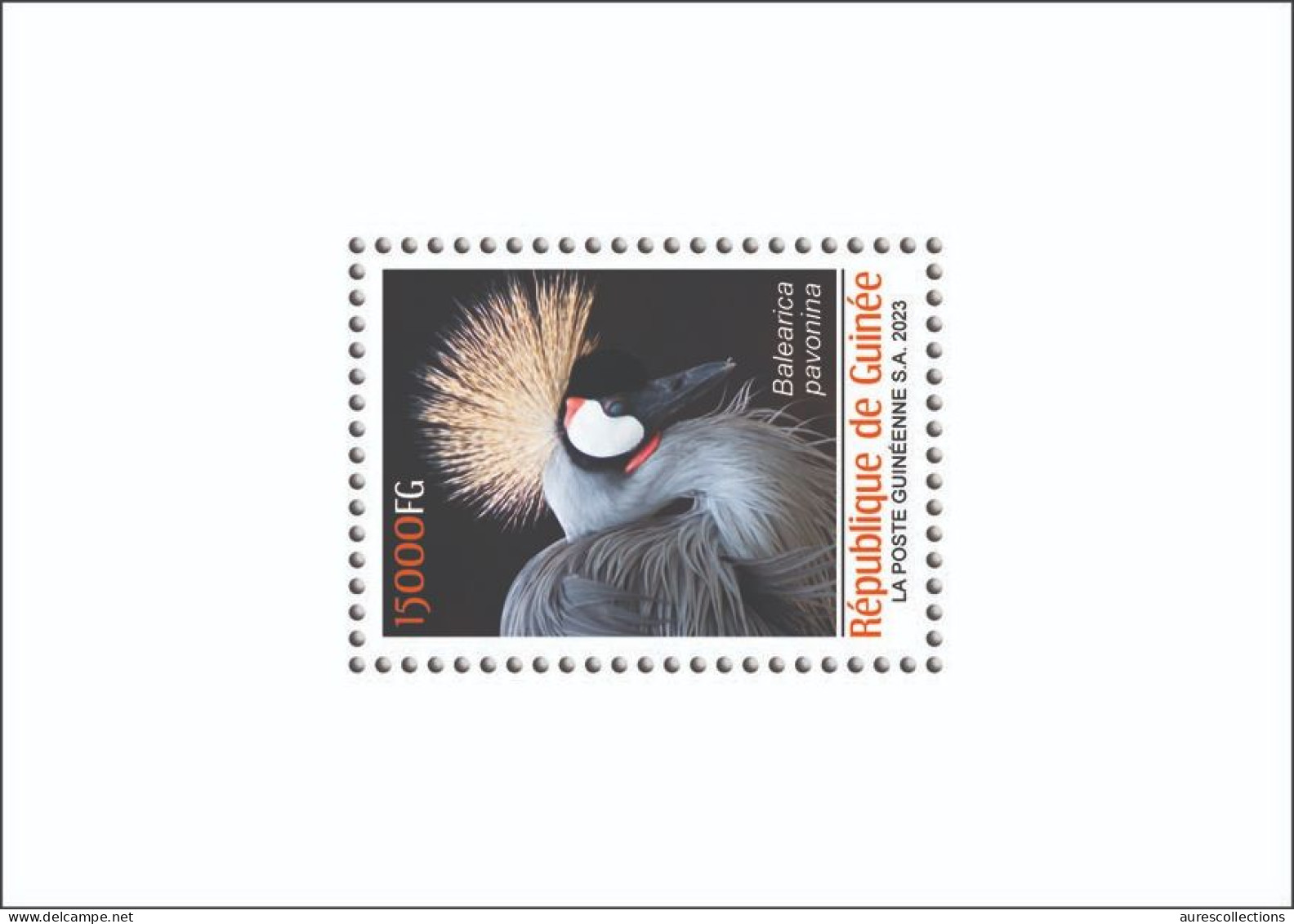 GUINEA 2023 SHEET 1V - BIRDS OISEAUX - BLACK CROWN CRANE CRANES - LUXE MNH - Kranichvögel