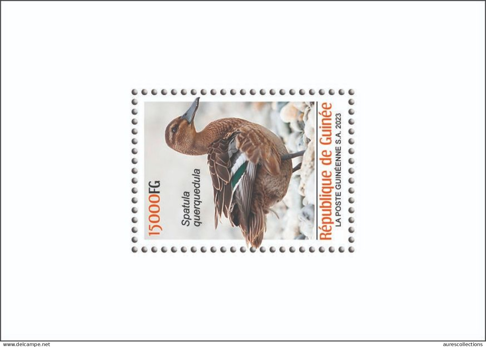 GUINEA 2023 SHEET 1V - BIRDS OISEAUX - DUCK DUCKS CANARD CANARDS - LUXE MNH - Eenden