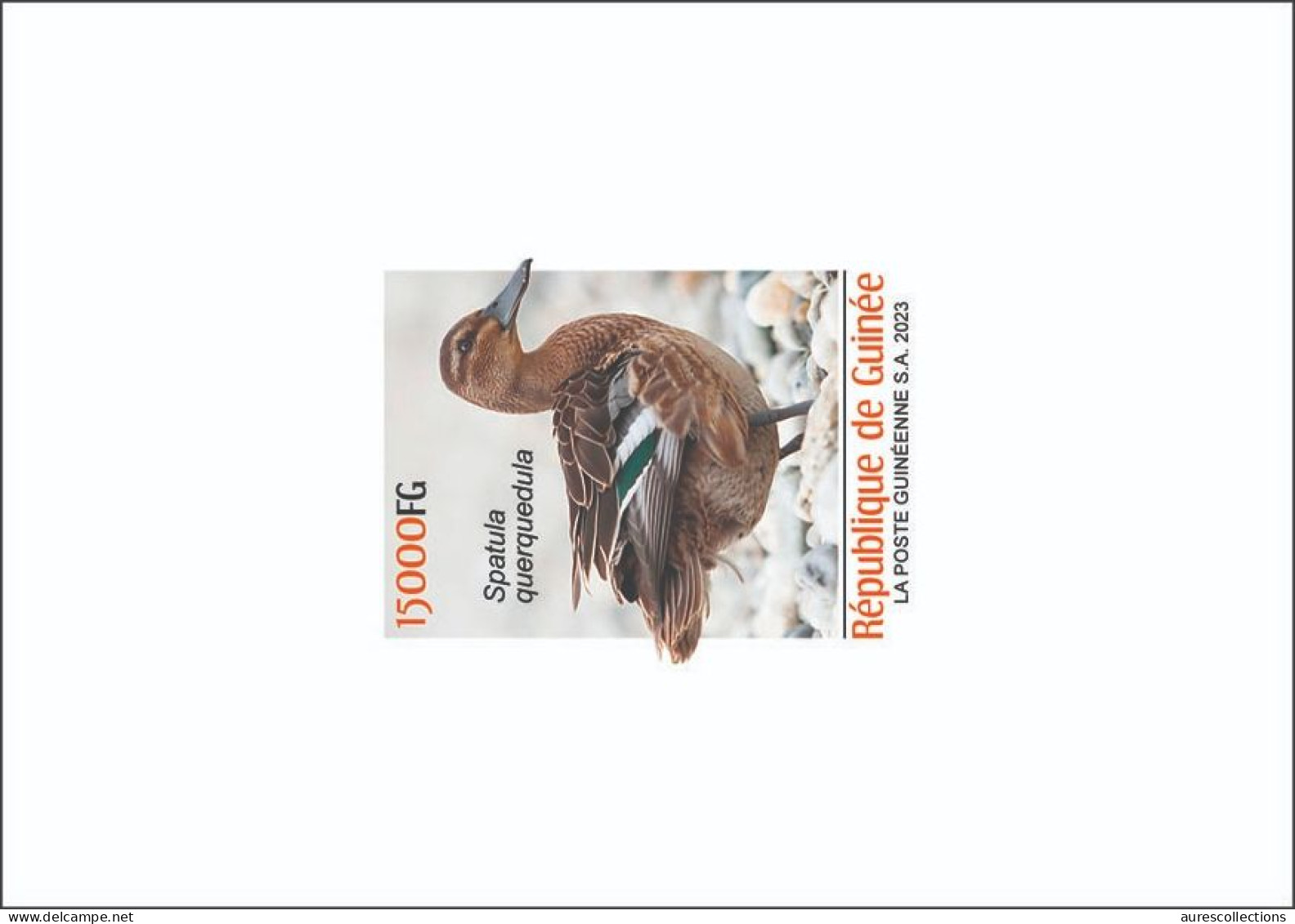GUINEA 2023 DELUXE PROOF - BIRDS OISEAUX - DUCK DUCKS CANARD CANARDS - Eenden