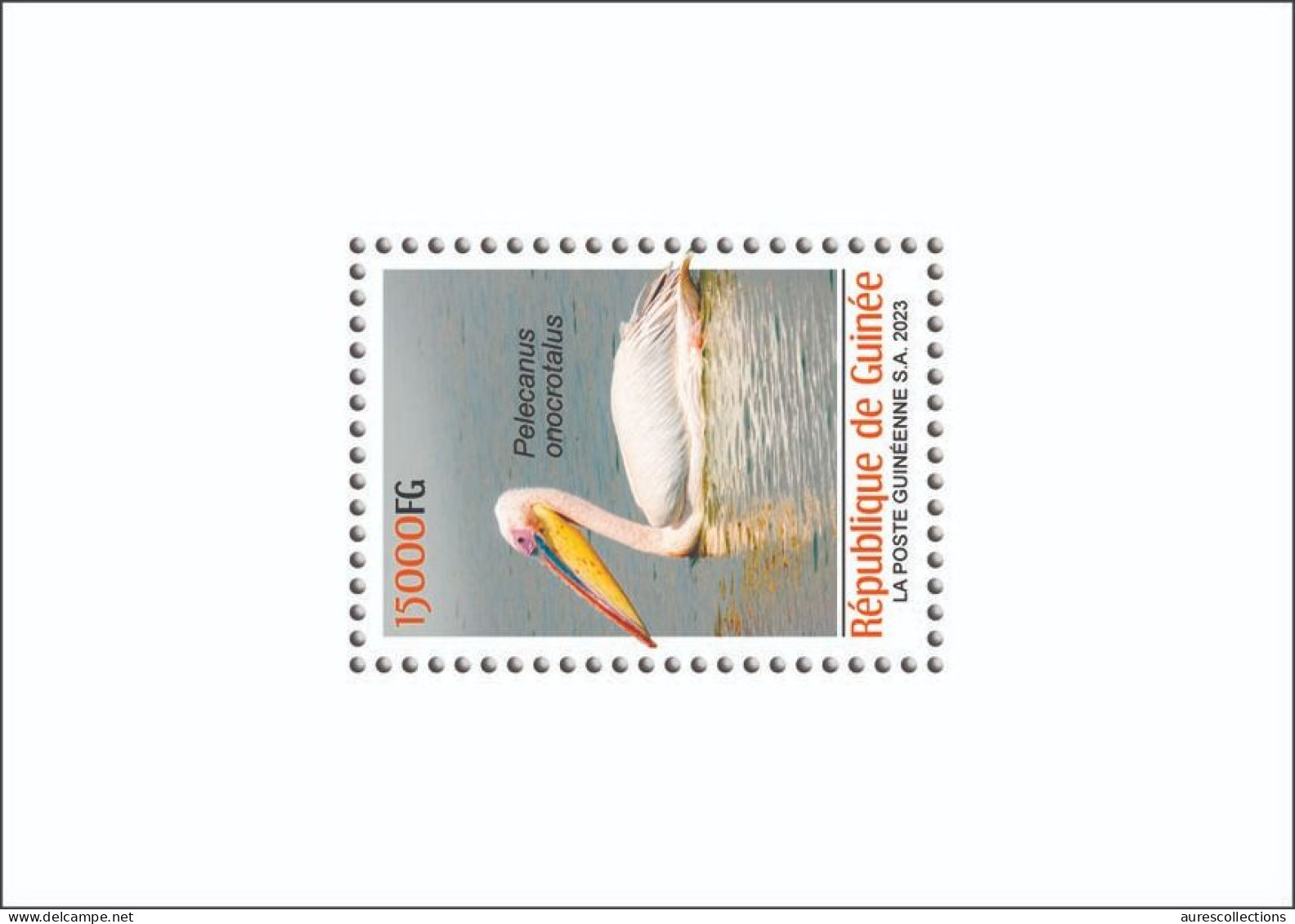 GUINEA 2023 SHEET 1V - BIRDS OISEAUX - PELICAN PELICANS - LUXE MNH - Pellicani