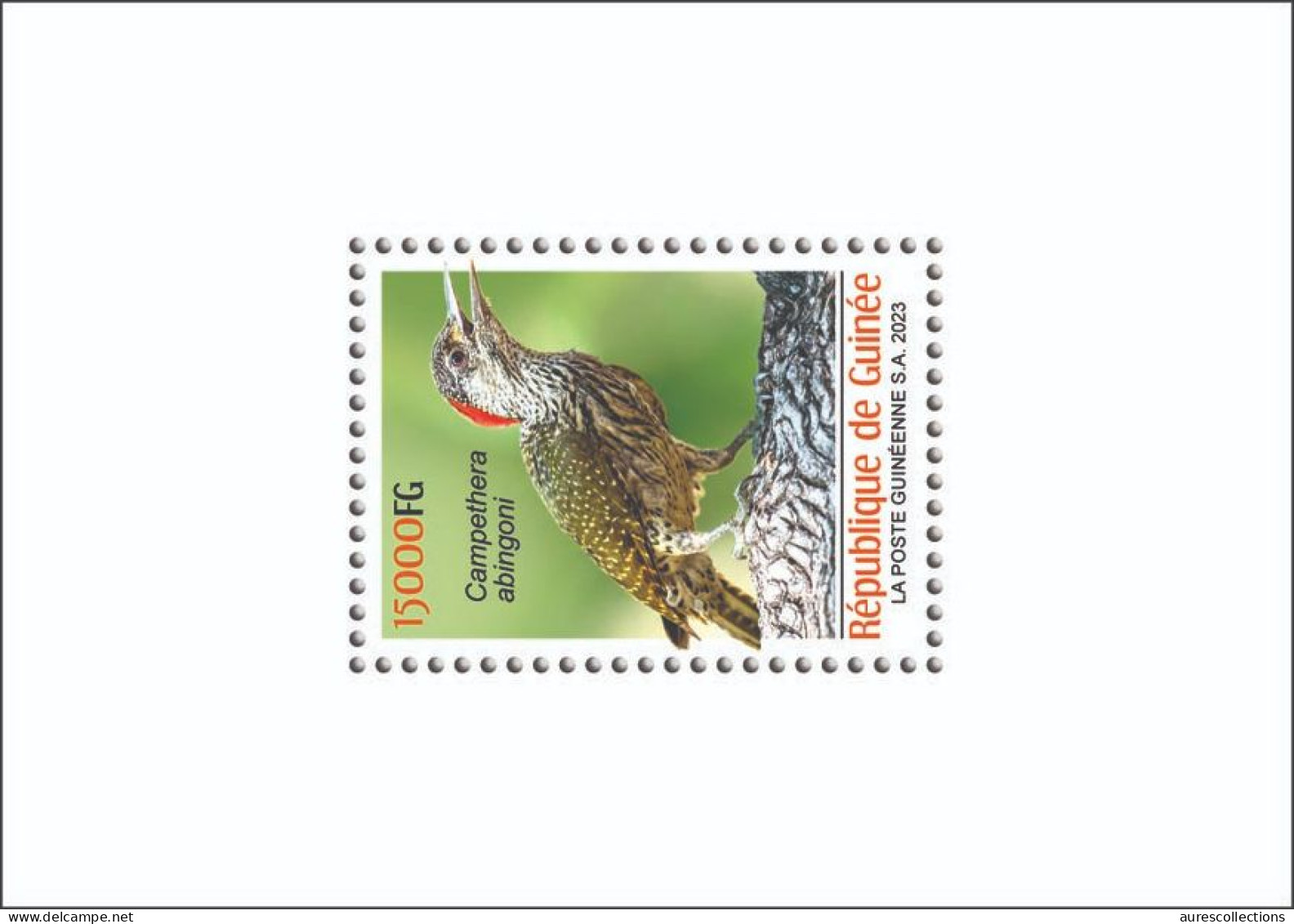 GUINEA 2023 SHEET 1V - BIRDS OISEAUX - WOODPECKER PIC - LUXE MNH - Climbing Birds