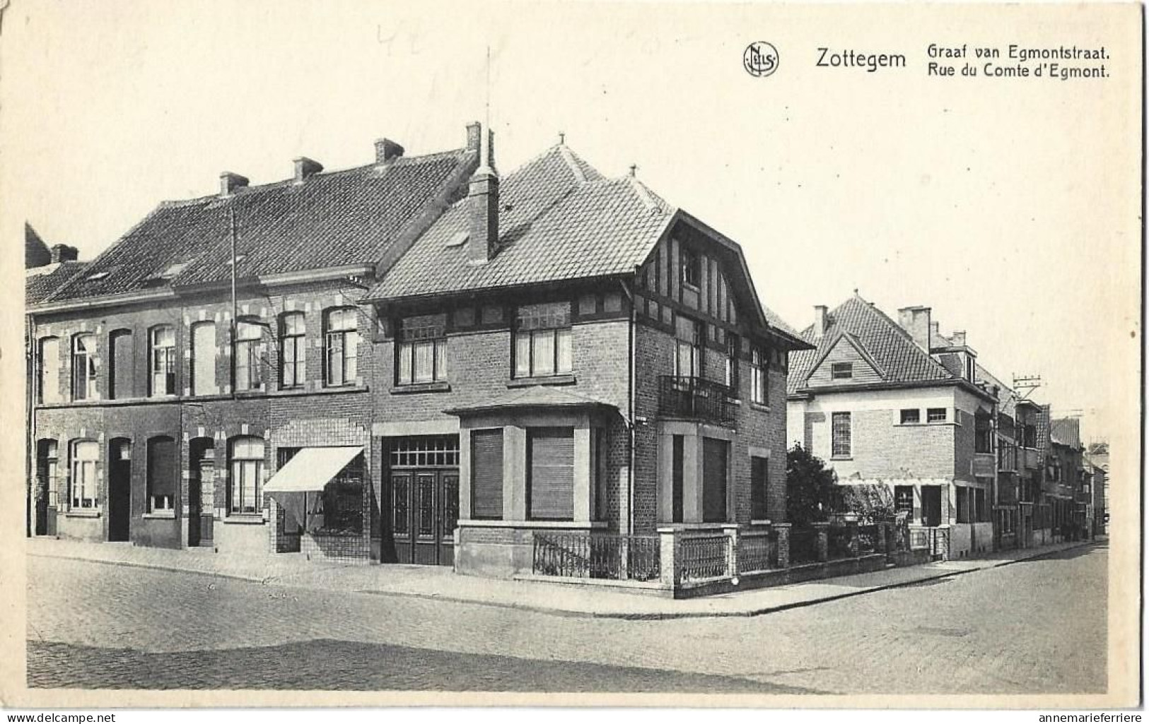ZOTTEGEM - SOTTEGEM - Rue Du Comte D'Egmont - Graaf Van Egmonstraat - Zottegem