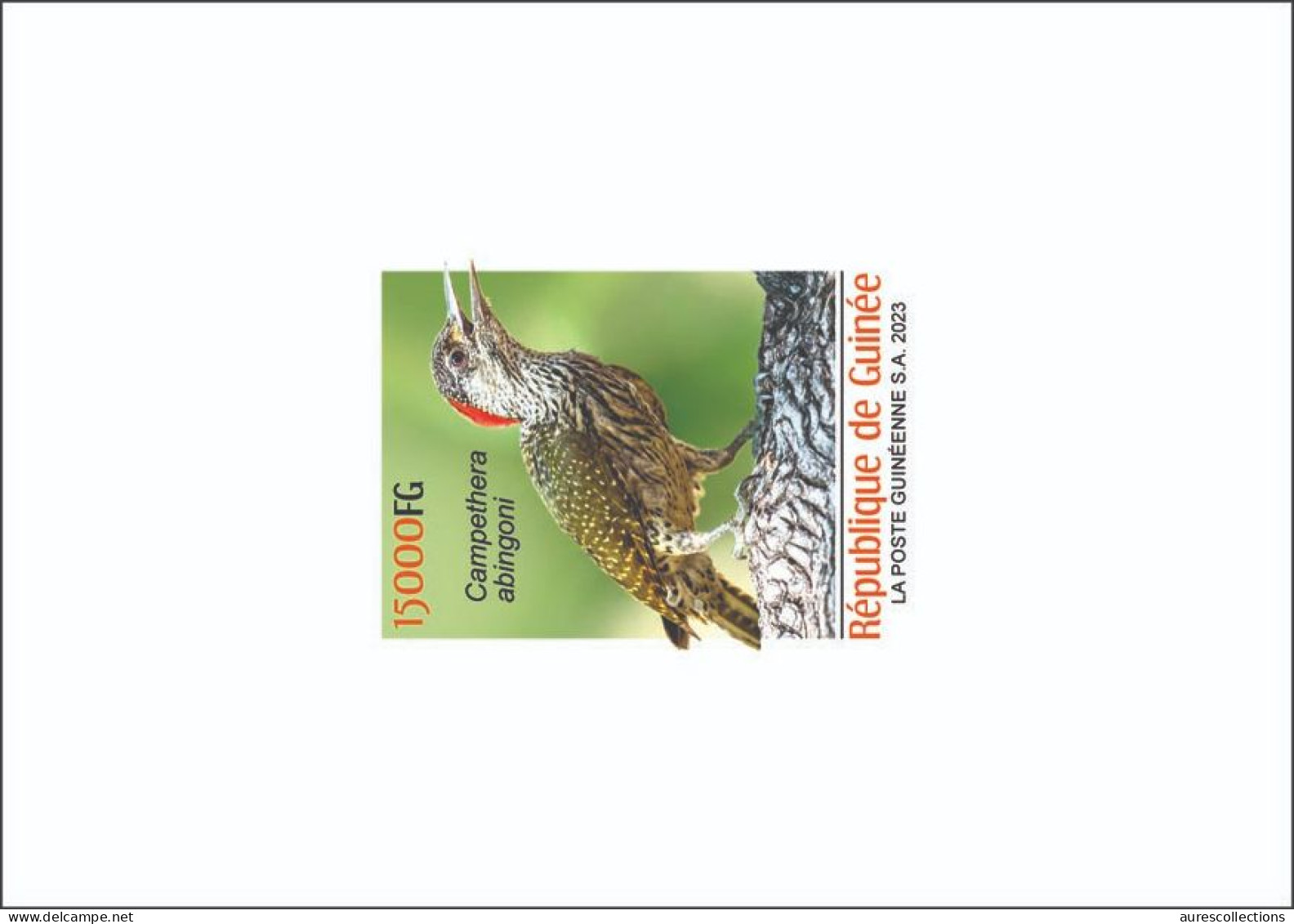 GUINEA 2023 DELUXE PROOF - BIRDS OISEAUX - WOODPECKER PIC - Climbing Birds