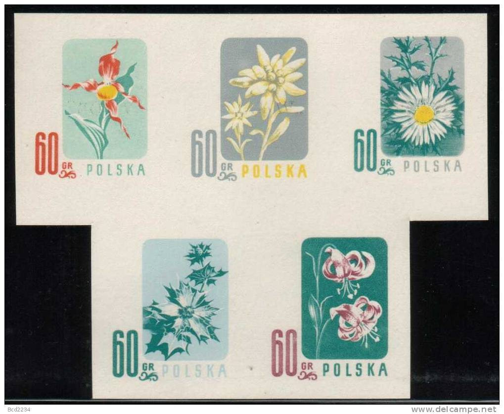 POLAND 1957 ENDANGERED FLOWERS COLOUR PROOFS BLOCK OF 5 NHM Flowers Lily Edelweiss Sea Holly Carlina Acaulis Cypripedium - Prove & Ristampe