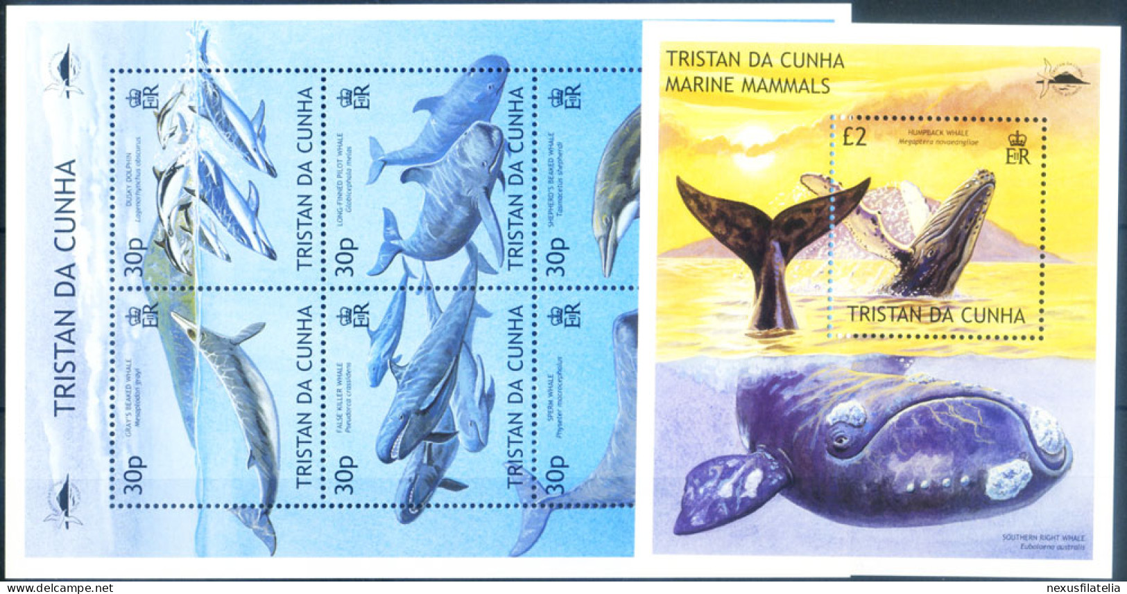 Fauna. Cetacei 2002. - Tristan Da Cunha