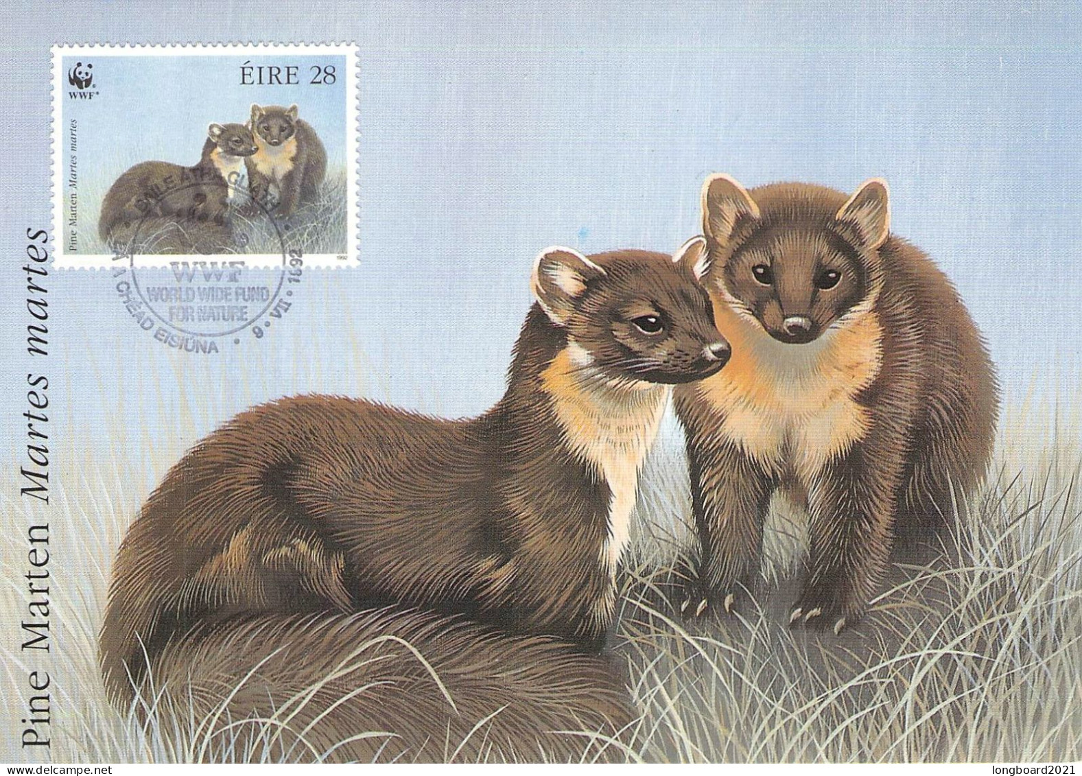 IRELAND - MCC 1991 WWF - PINE MARTEN  /4403 - Cartoline Maximum