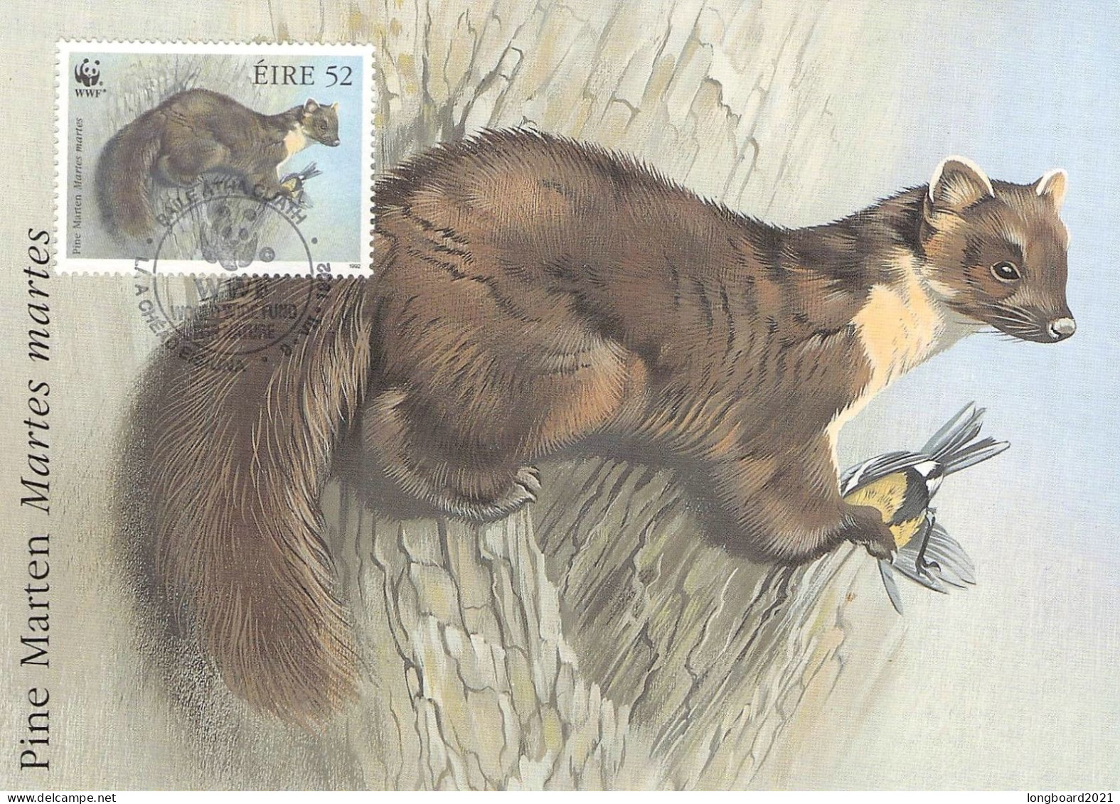 IRELAND - MCC 1991 WWF - PINE MARTEN  /4403 - Maximumkaarten