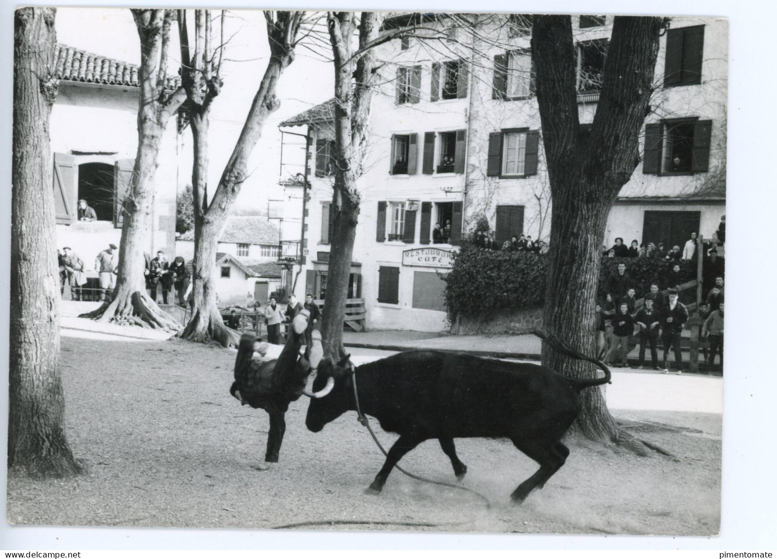 HASPARREN COURSES DE VACHES DANS LES RUES PELOTE BASQUE LOT 2 CARTES - Hasparren