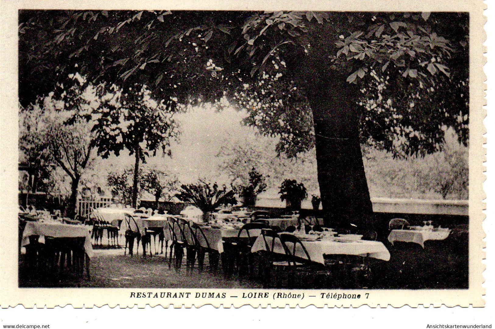 013204  Loire - Restaurant Dumas - Loire Sur Rhone