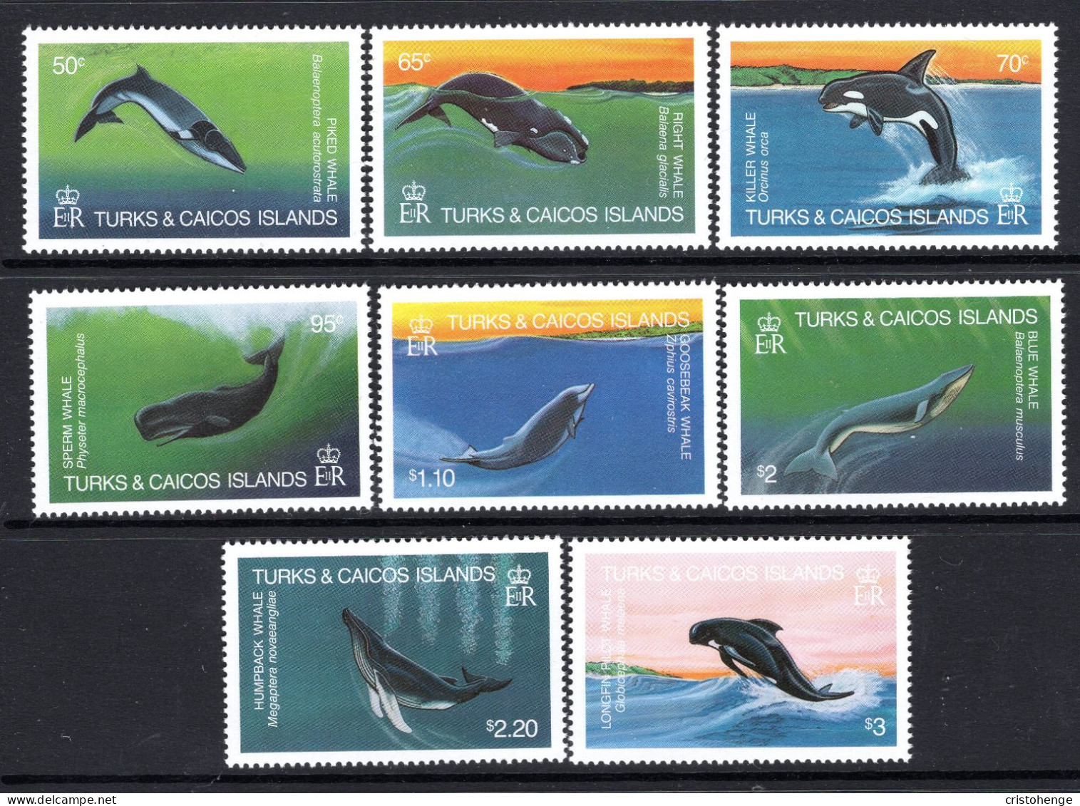 Turks & Caicos Islands 1983 Whales Set MNH (SG 745-752) - Turks And Caicos