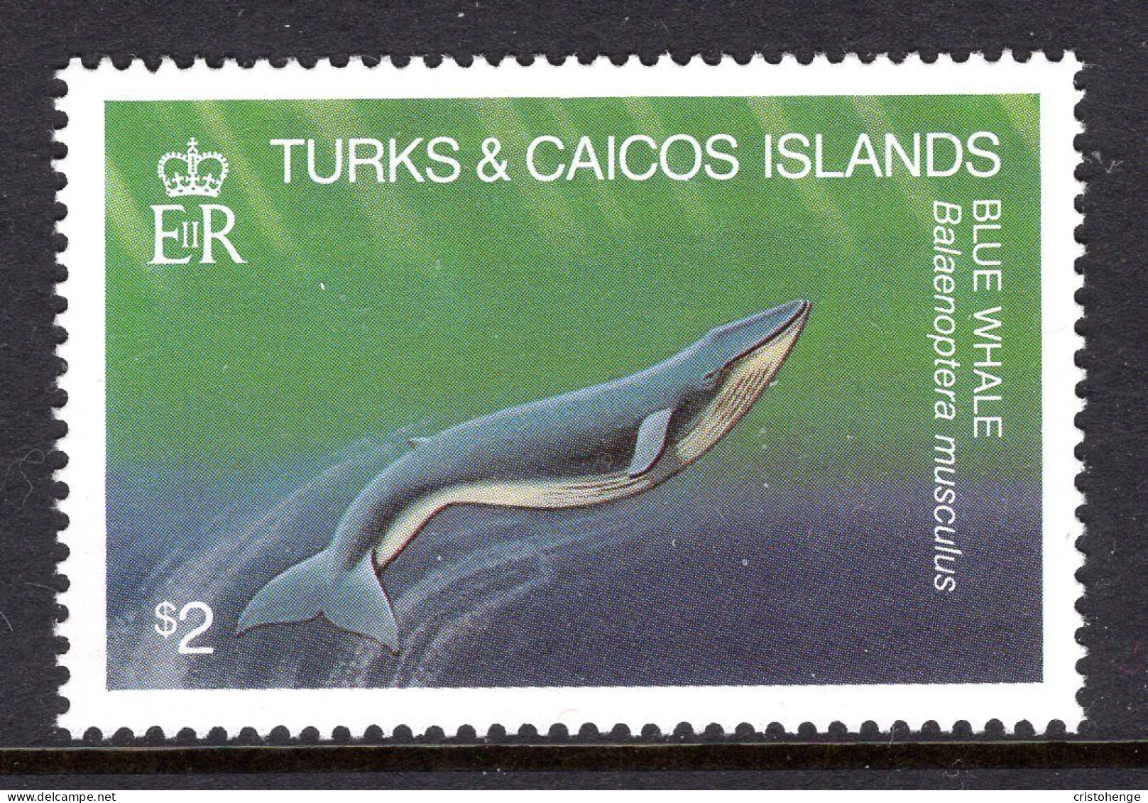 Turks & Caicos Islands 1983 Whales - $2 Blue Whale MNH (SG 749) - Turks And Caicos