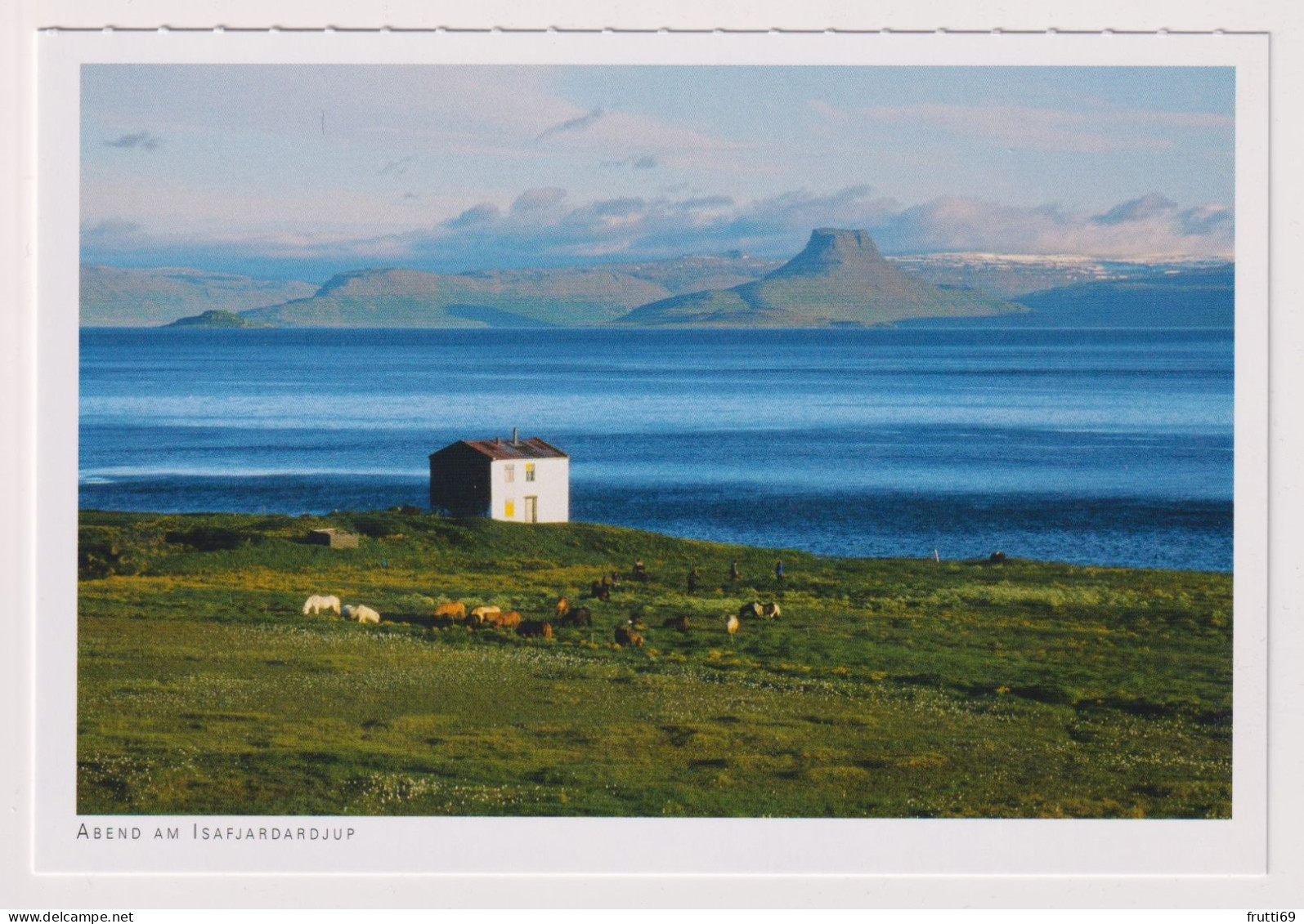 AK 197465 ICELAND - Abend Am Isafjardardjup - Islande