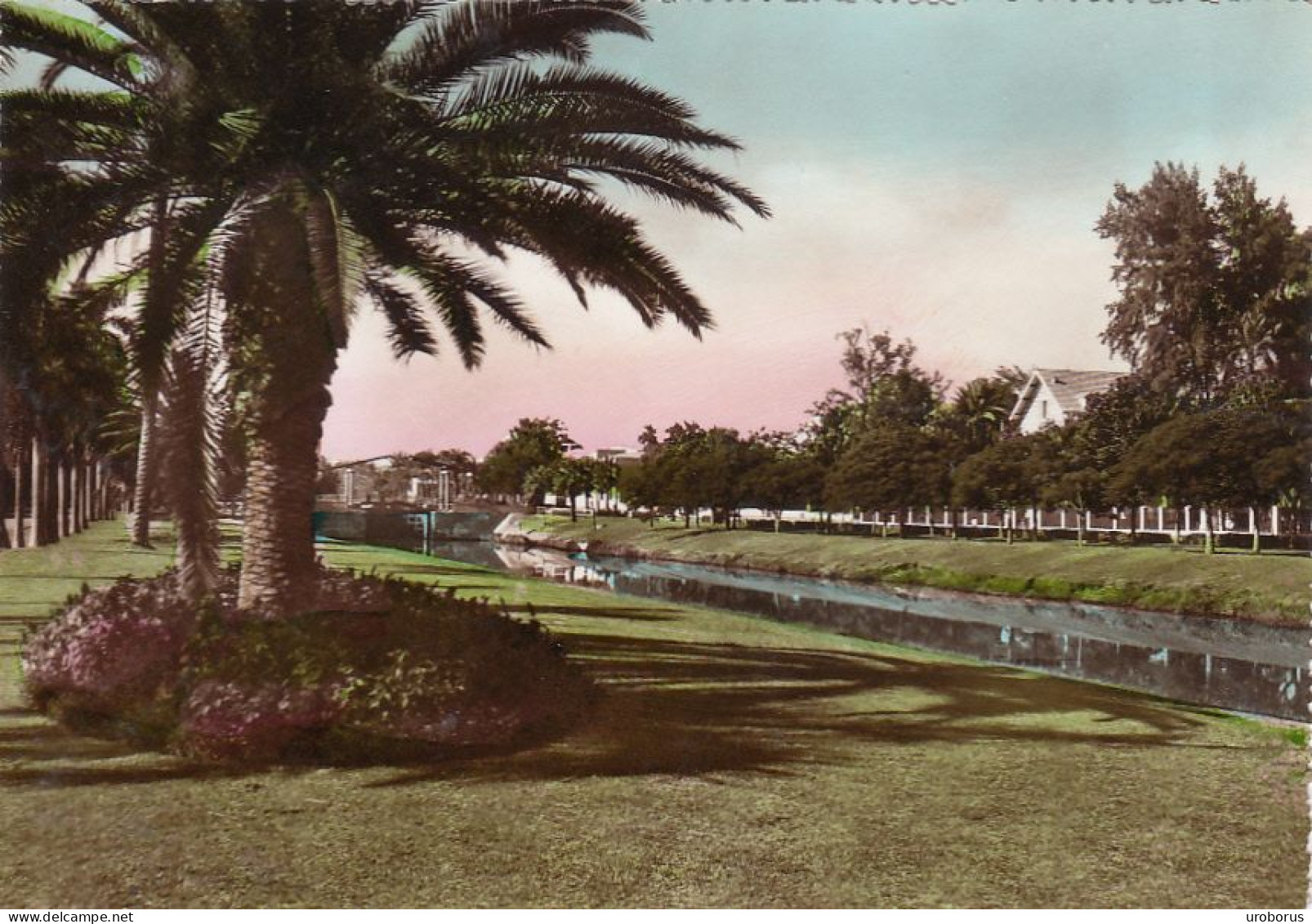 EGYPT - Ismailia - Gardens - Ismaïlia