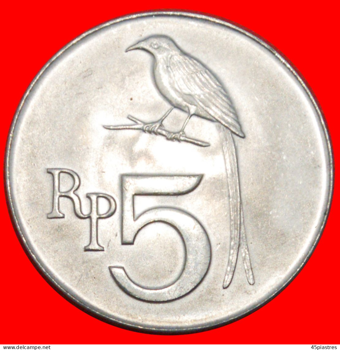 * BIRD DRONGO: INDONESIA  5 RUPIAH 1970 UNC MINT LUSTRE!· LOW START ·  NO RESERVE! - Indonesia