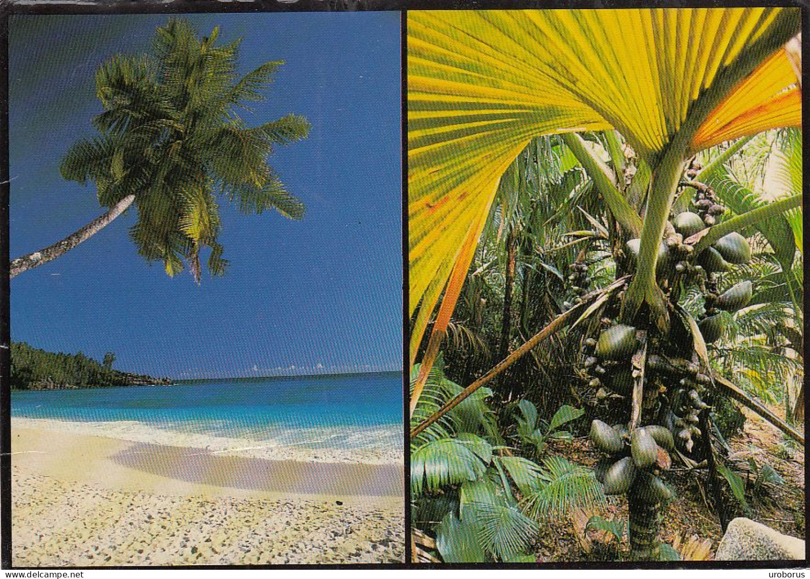 SEYCHELLES - Anse Intendance - Mahe - Vallee De Mai - Praslin 1988 - Seychelles